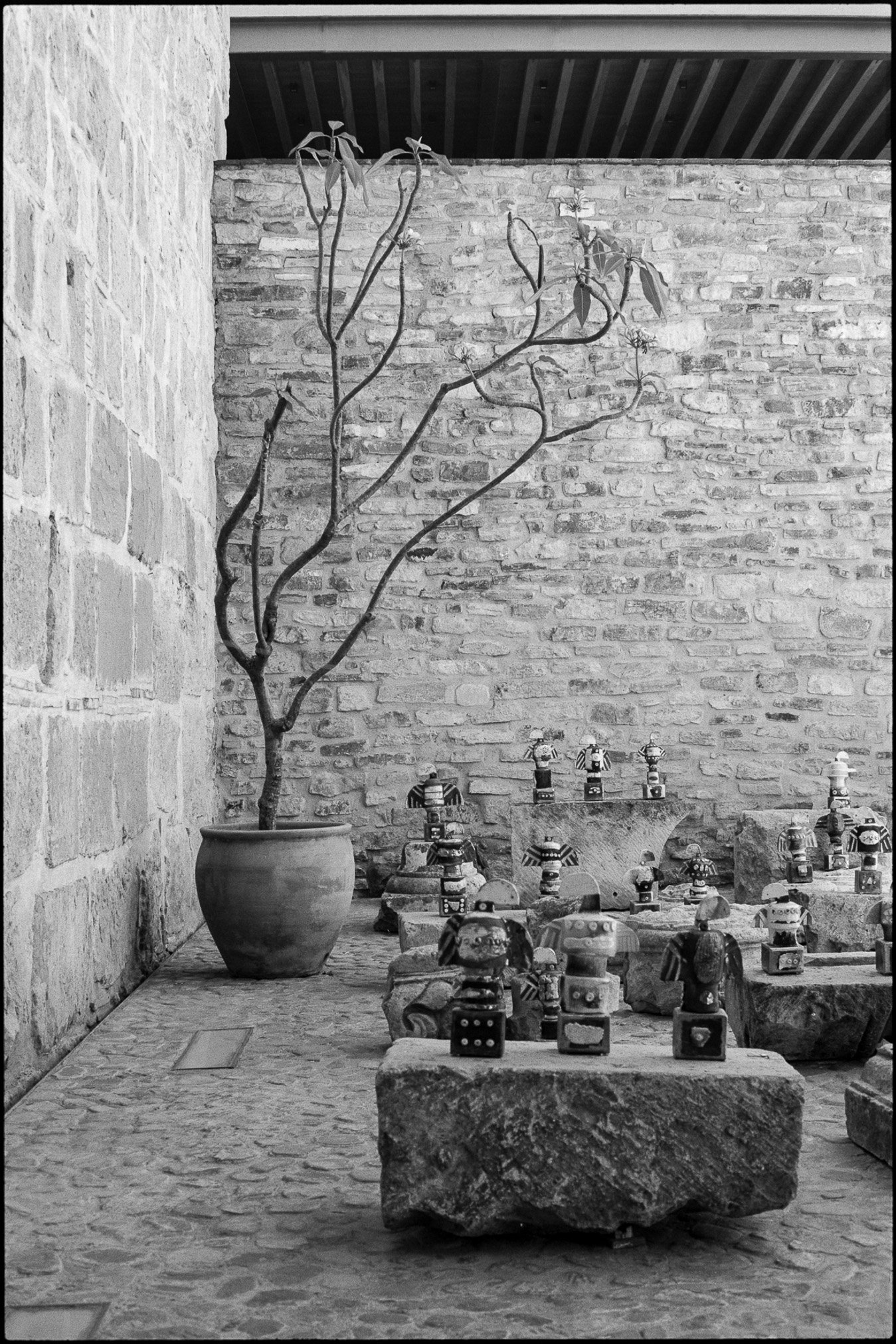 MX / Contax G1 / PanF50+ / 3.9.24