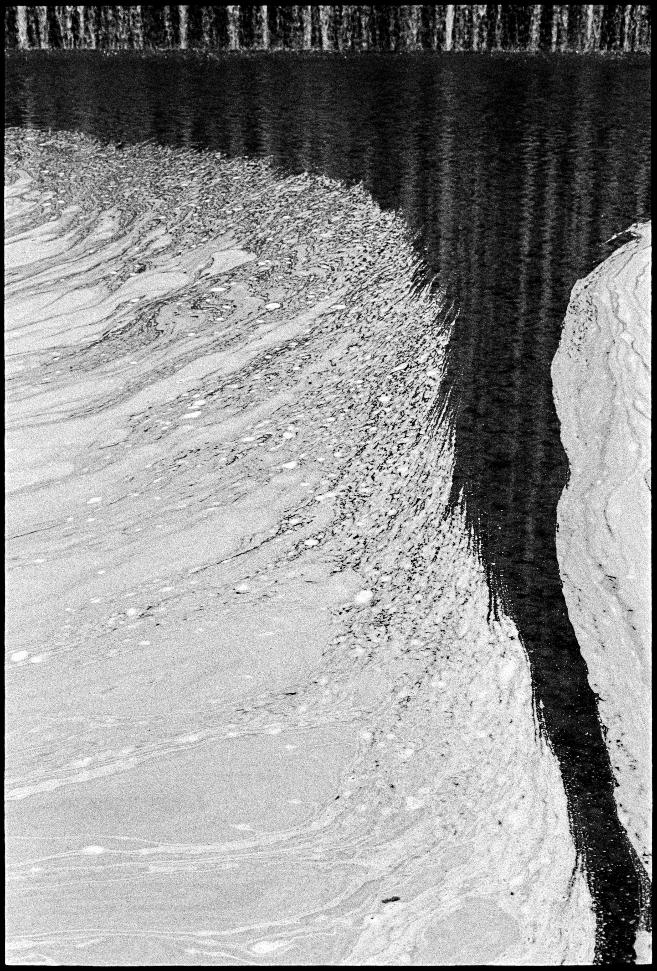 JP / Nikon F / trix400 / 10.24