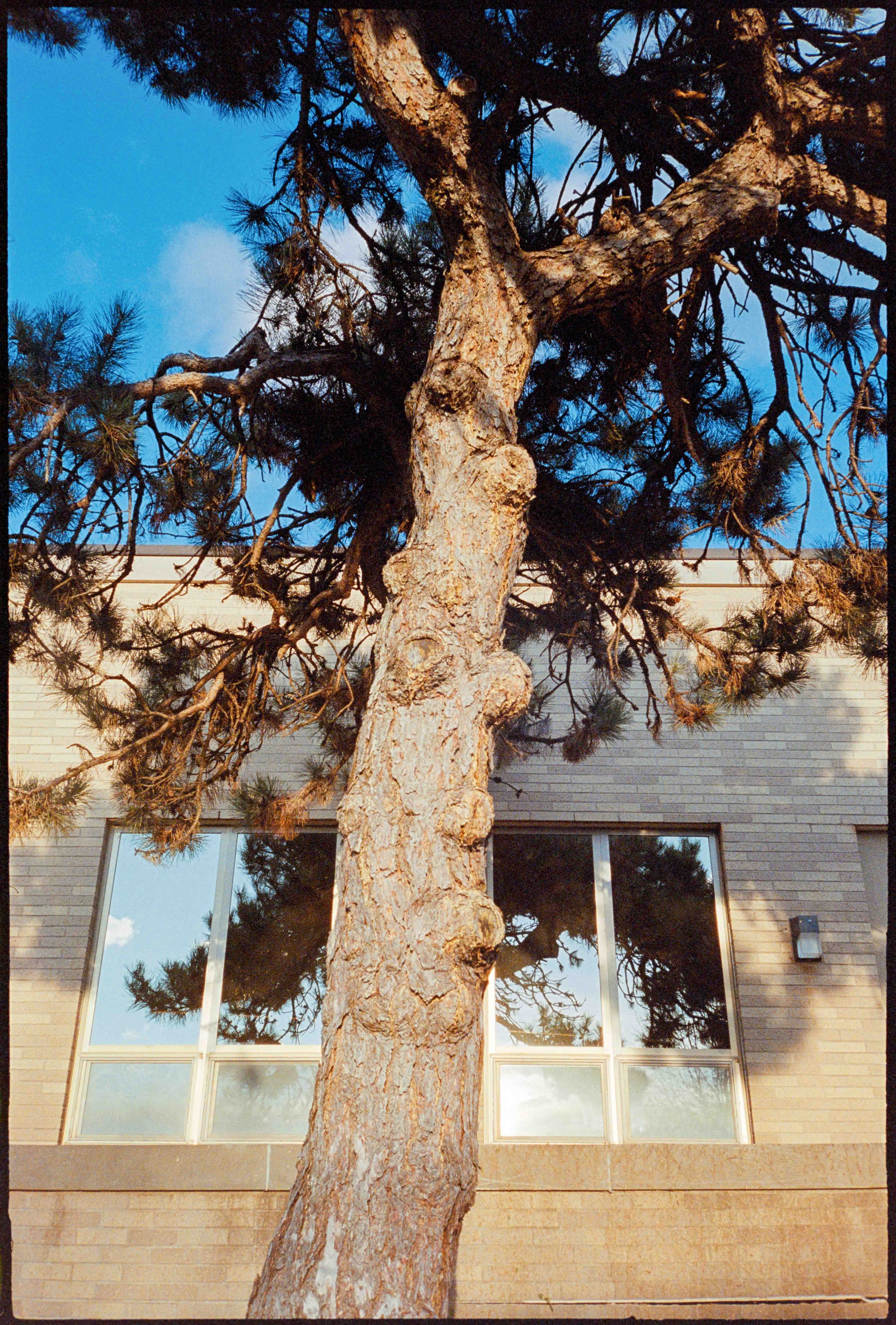 PA / mju2 / lomo800 / 1.25
