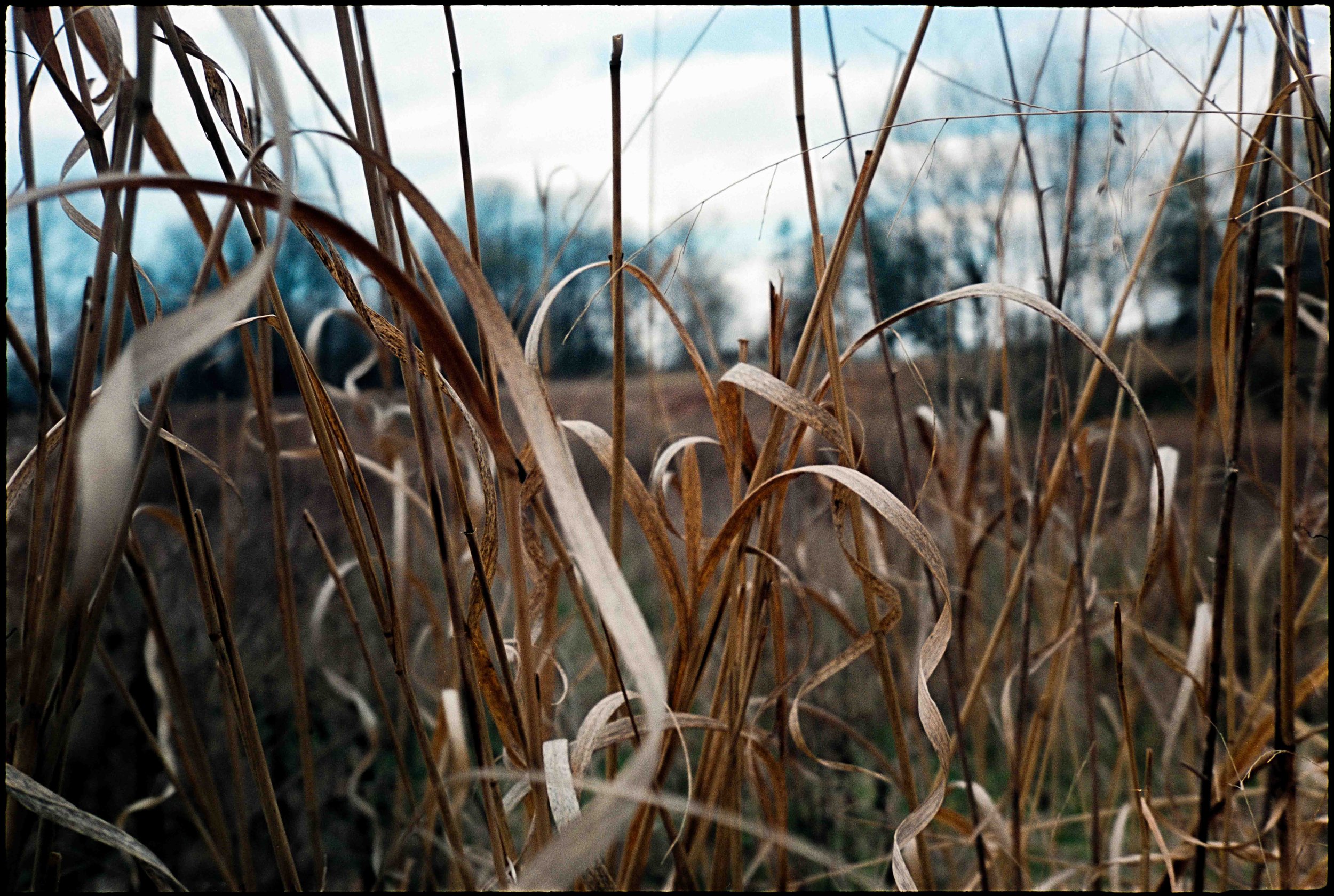 PA / mju2 / santacolor100 / 3.25