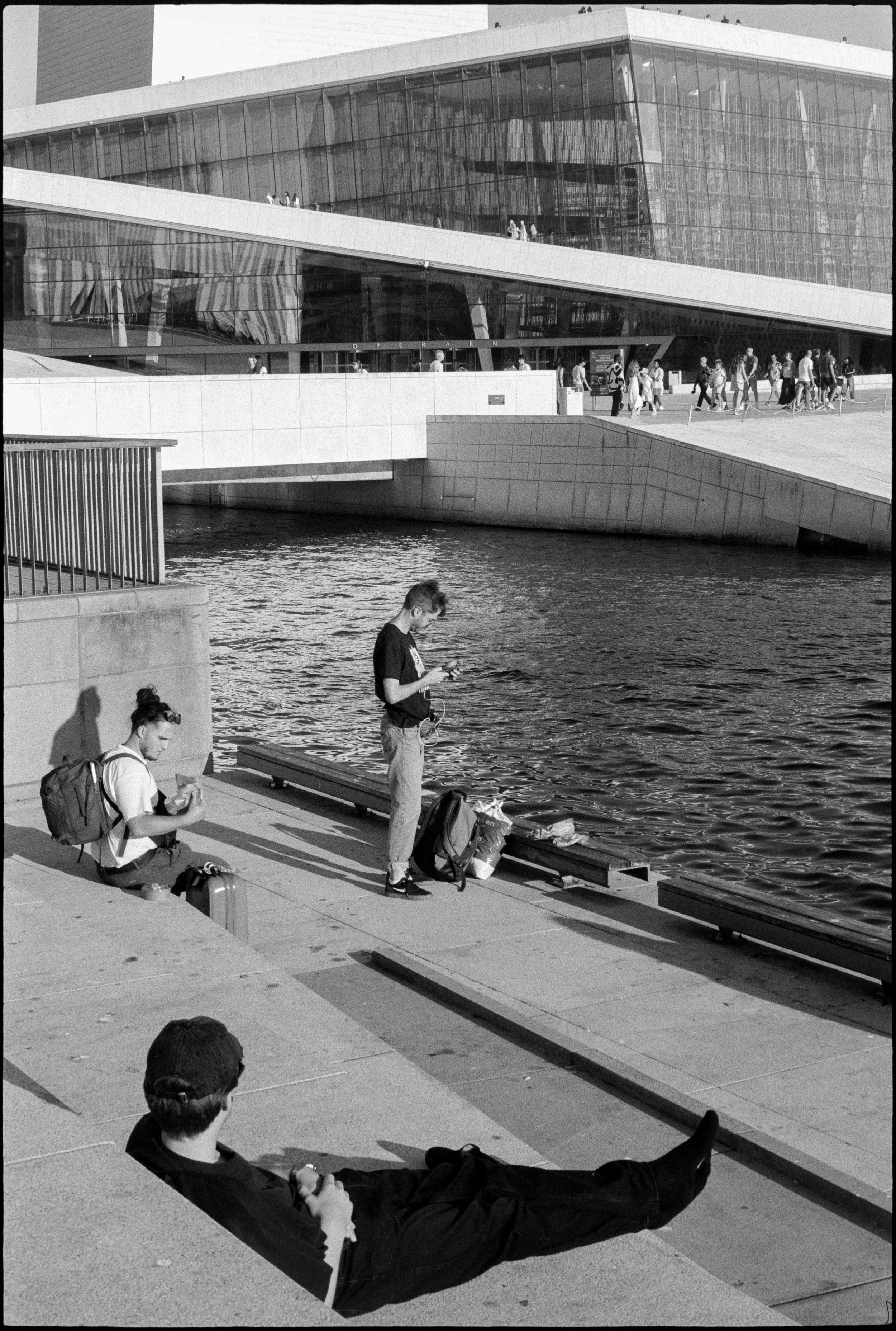 NO / Nikon F / fp4+ / 7.25