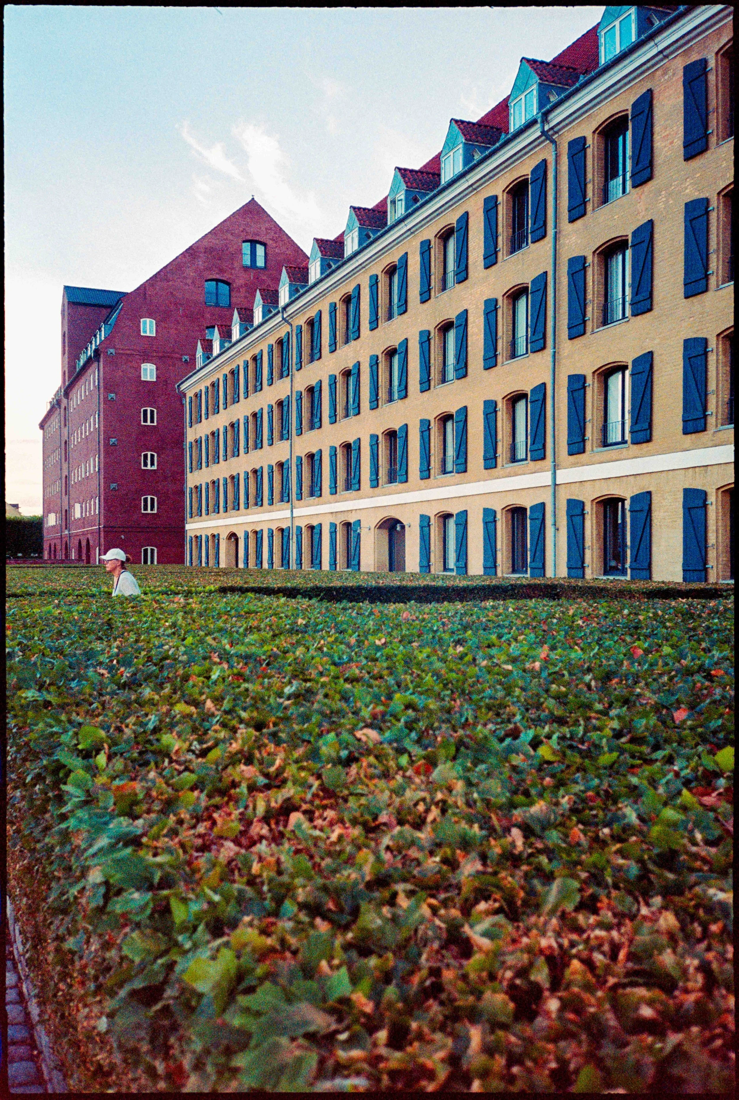 DK / Mju2 / lomo800 / 7.25
