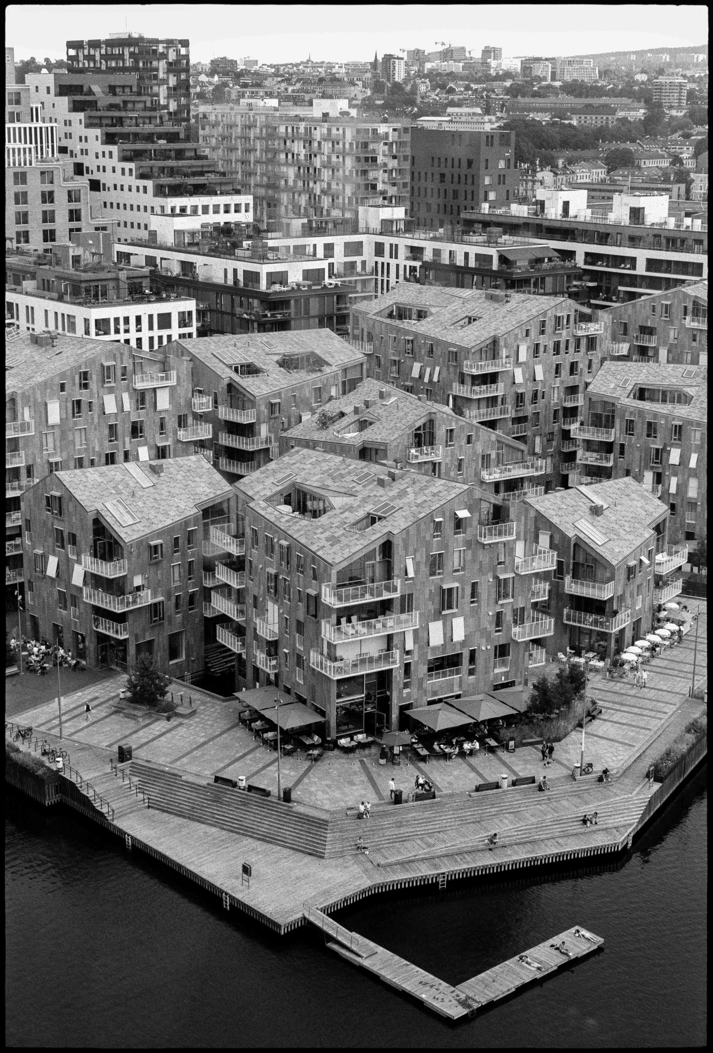 NO / Nikon F / fp4+ / 7.25