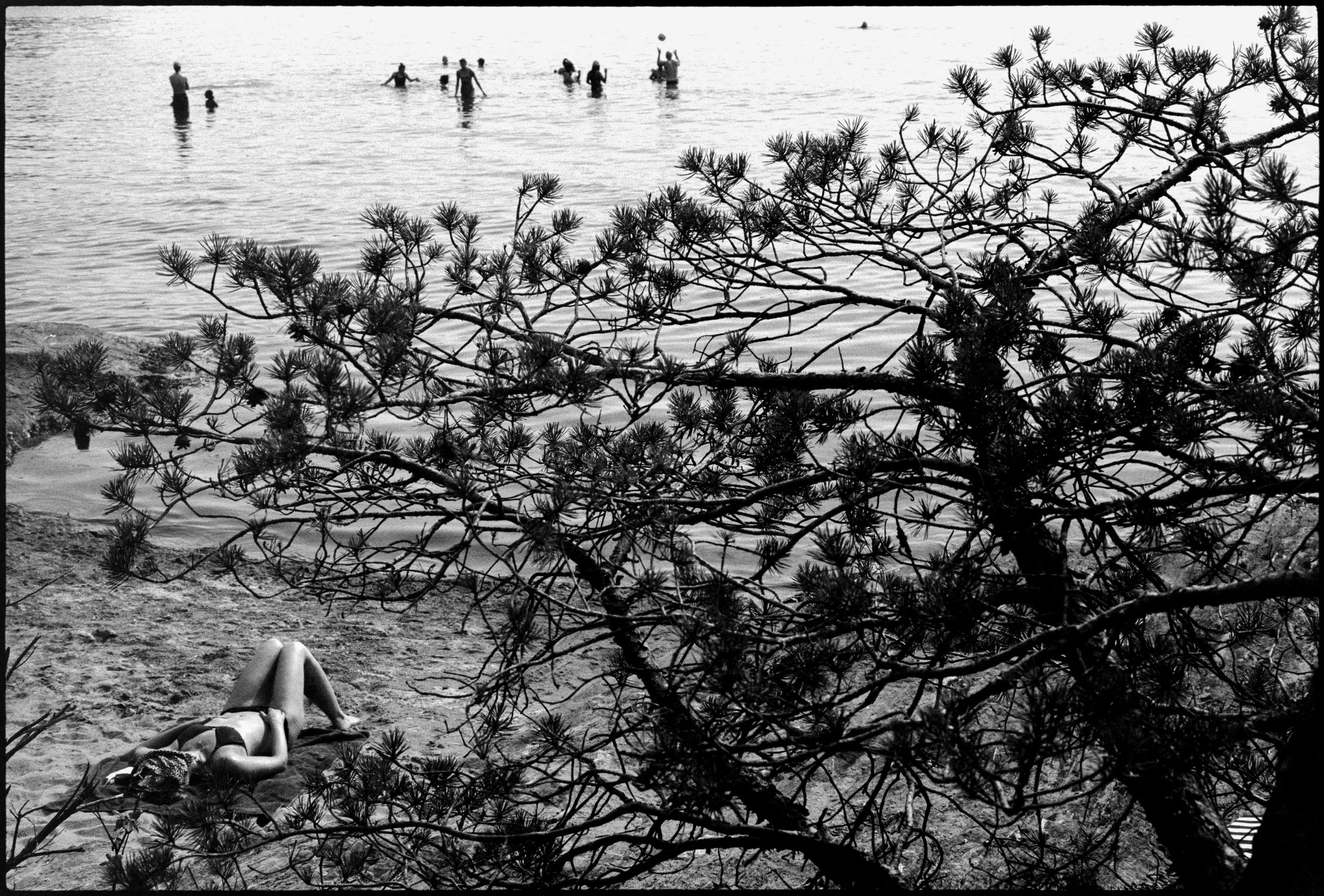 NO / Nikon F / fp4+ / 7.25