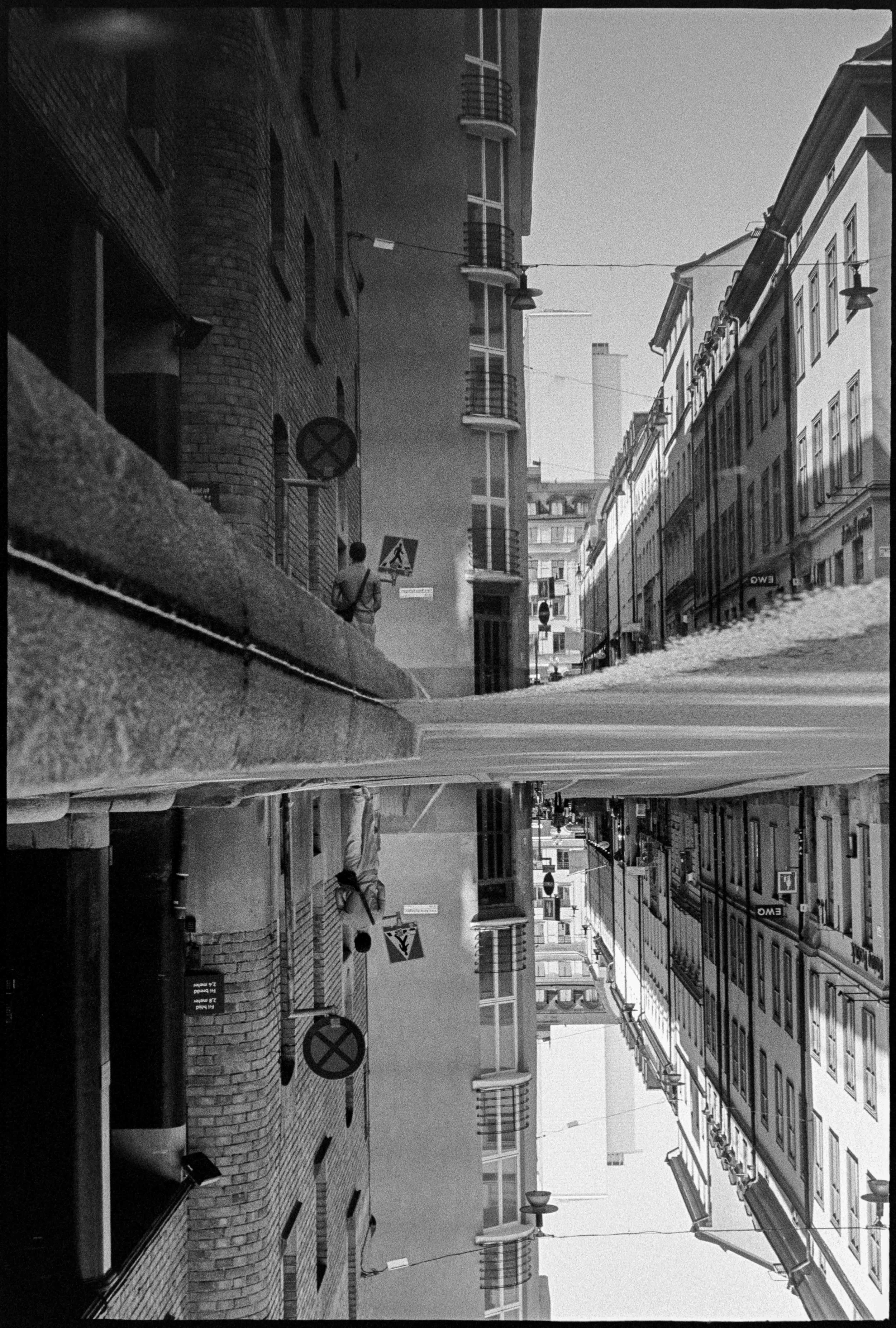 SE / Nikon F / trix400 / 7.25