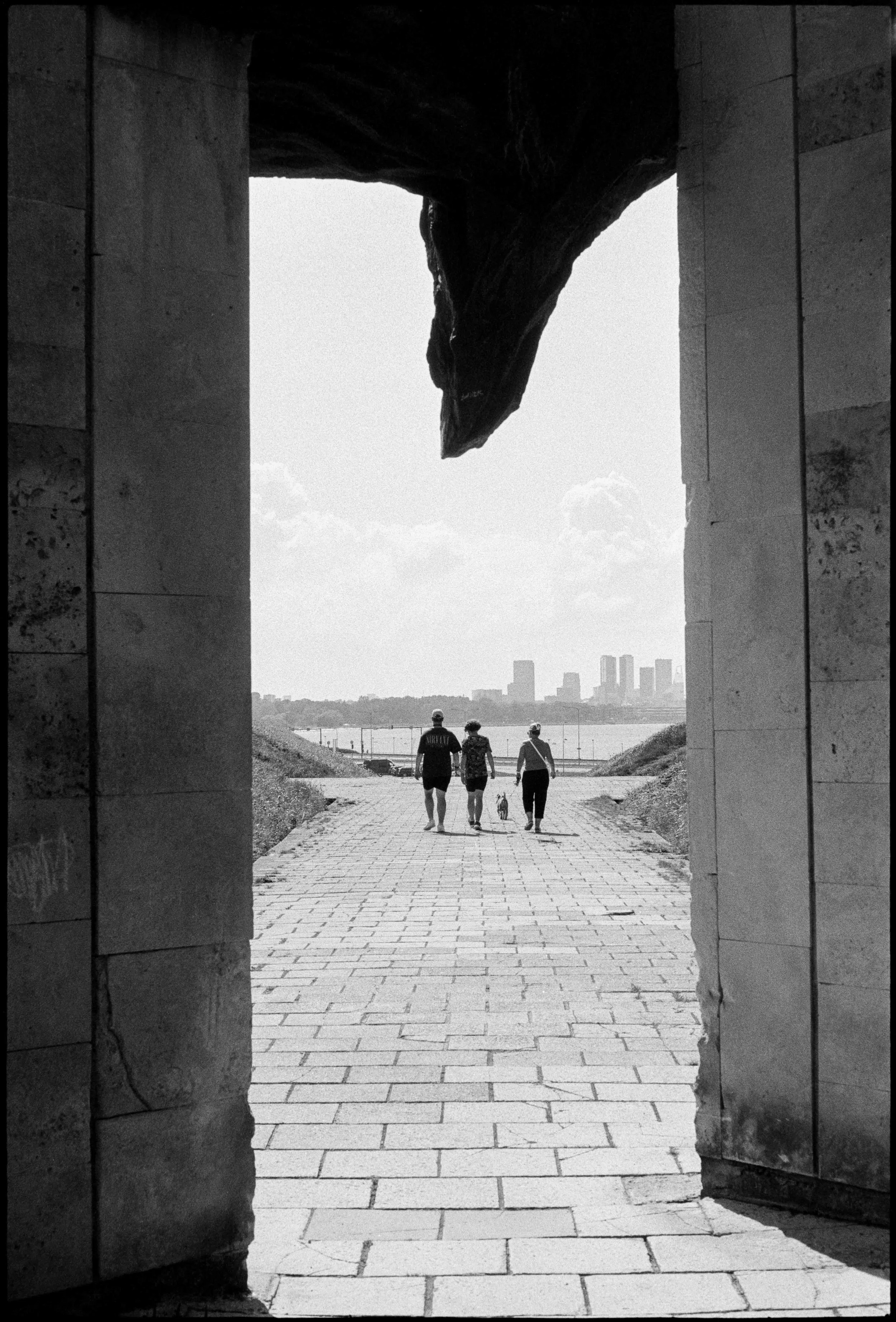EE / Nikon F / fp4+ / 7.25