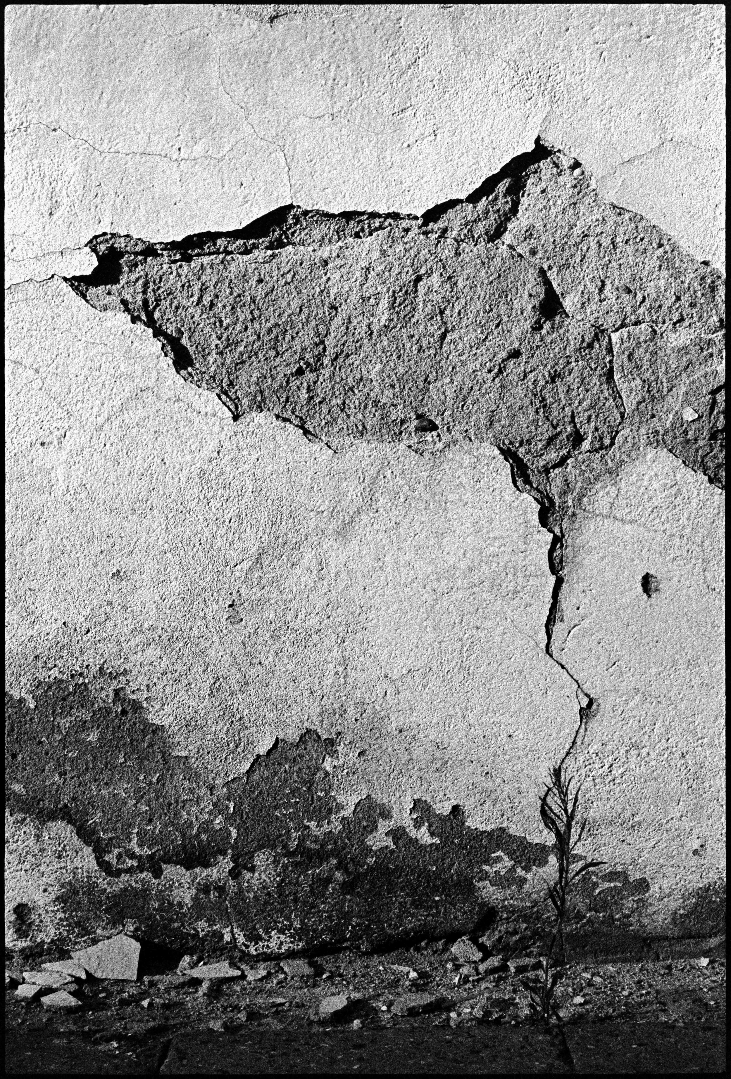 EE / Nikon F / trix400 / 7.25