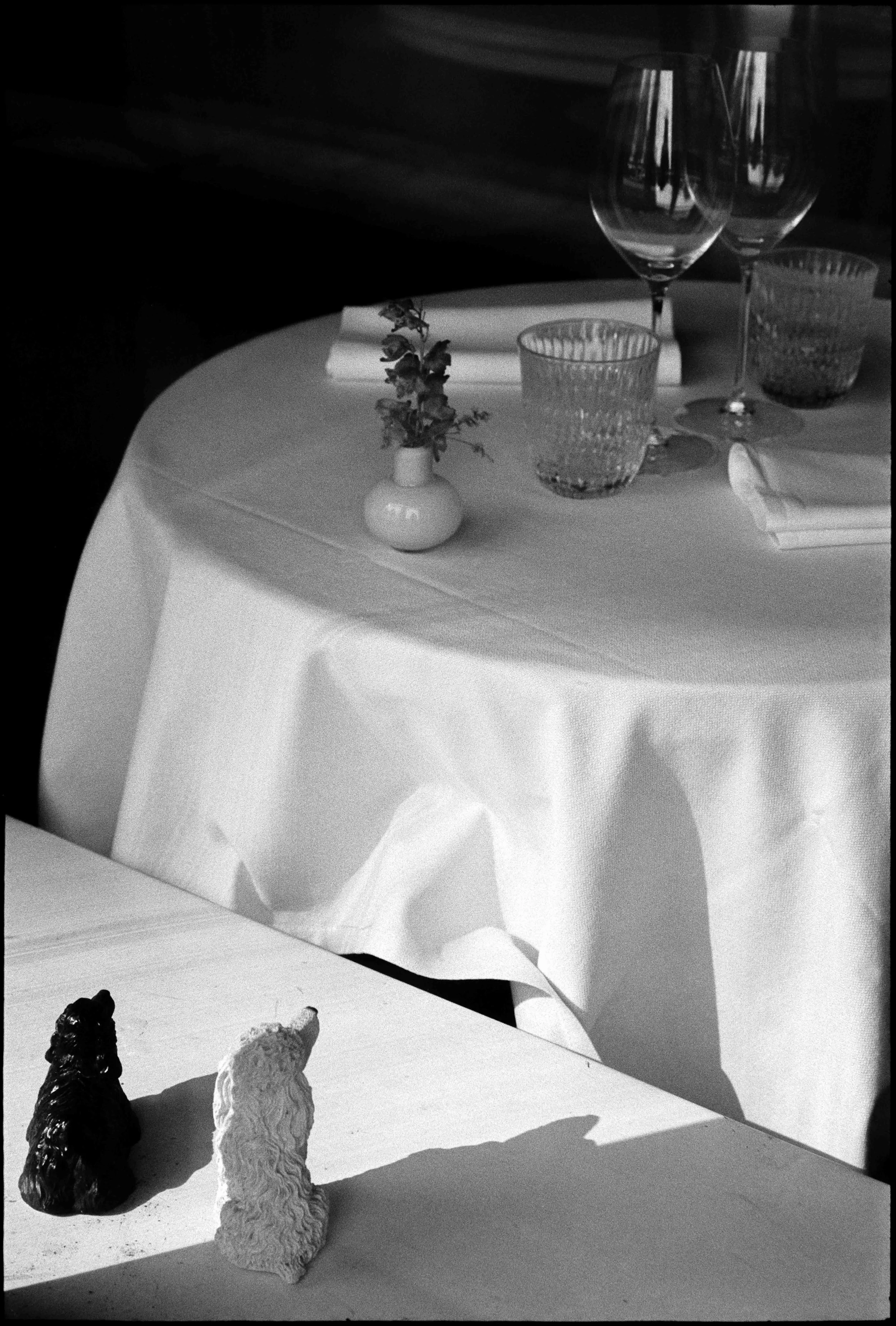 FI / Nikon F / fp4+ / 7.25