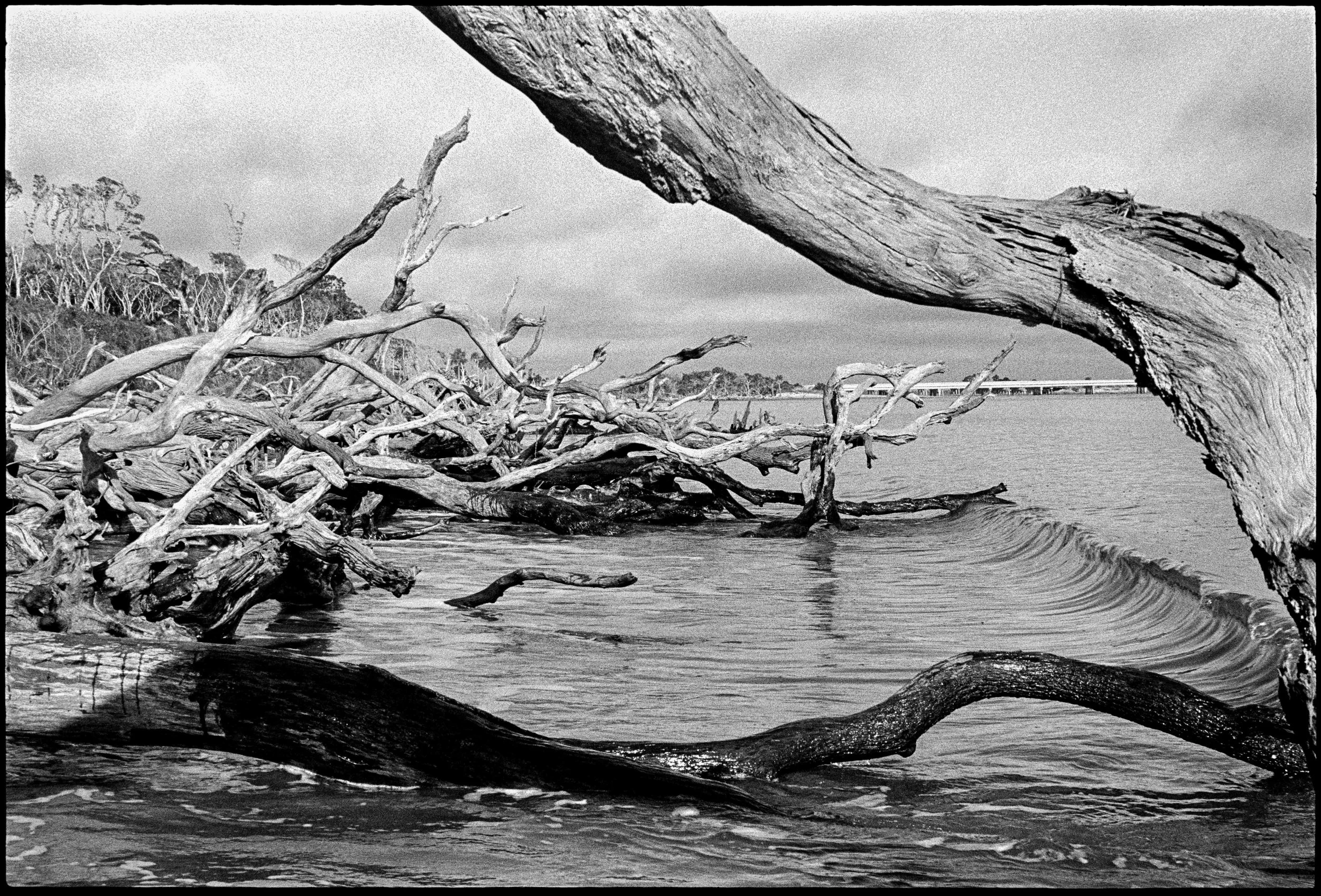 FL / Nikon F / trix400 / 11.25