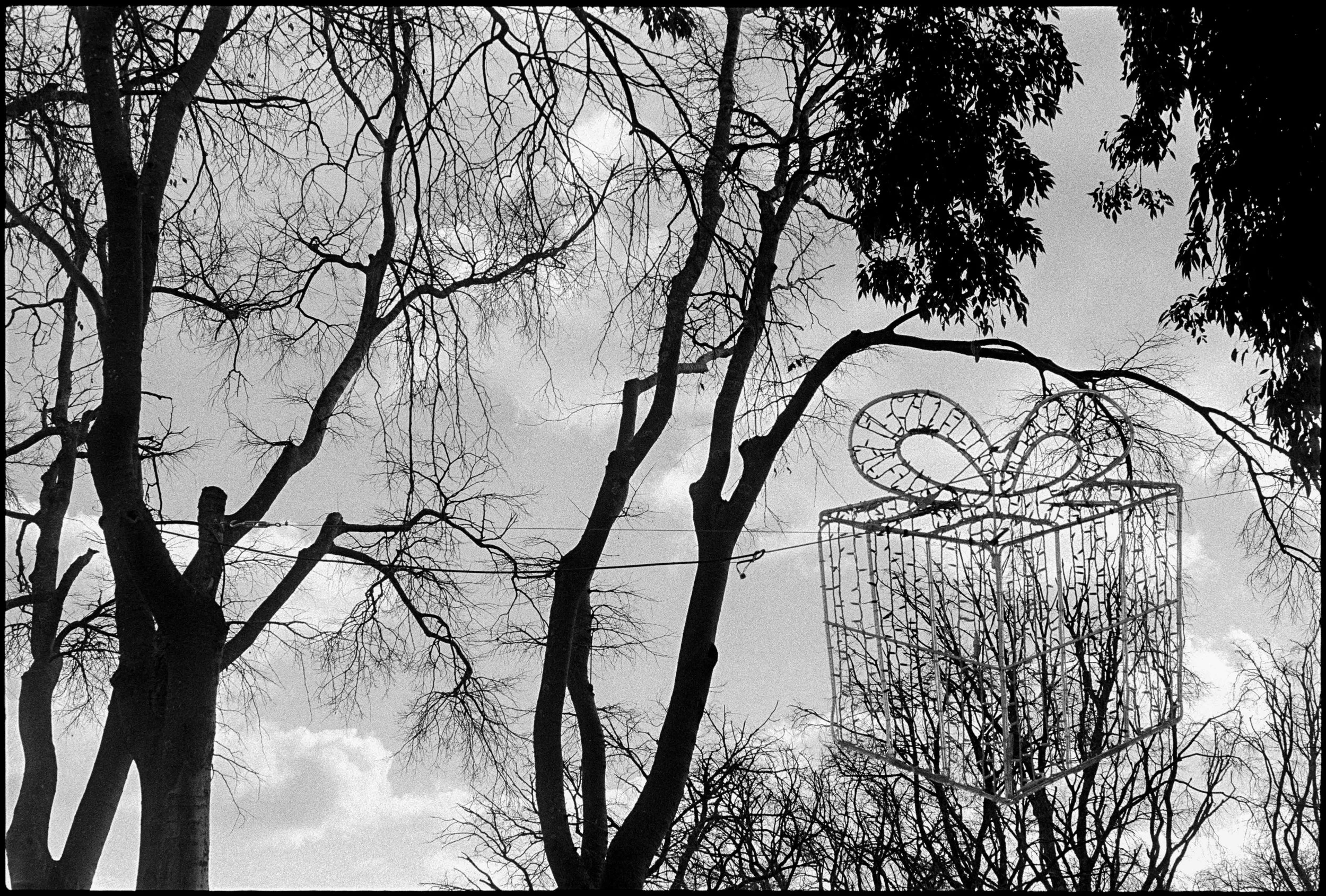 PT / nikon f / trix400 / 1.26