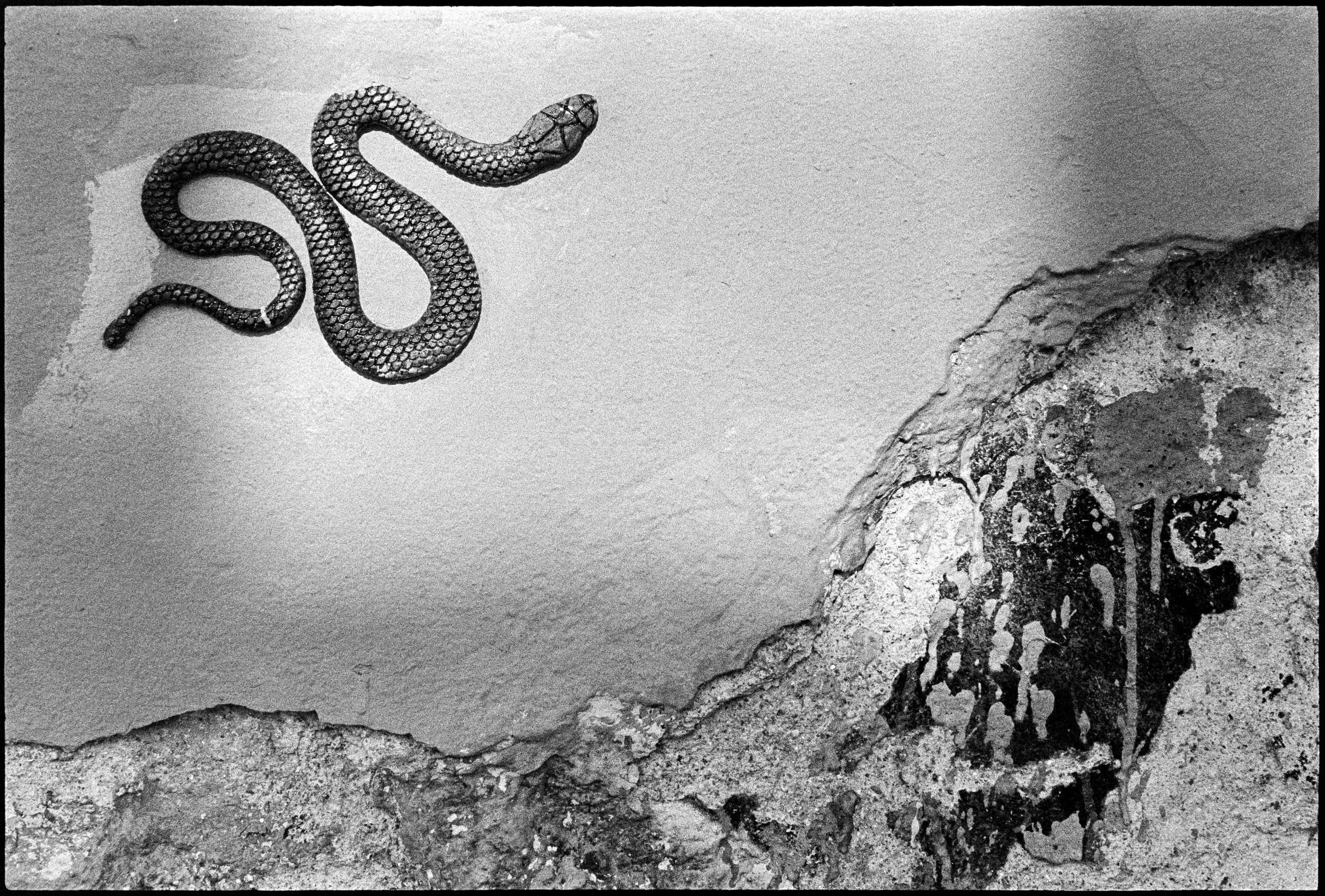 PT / nikon f / trix400 / 1.26