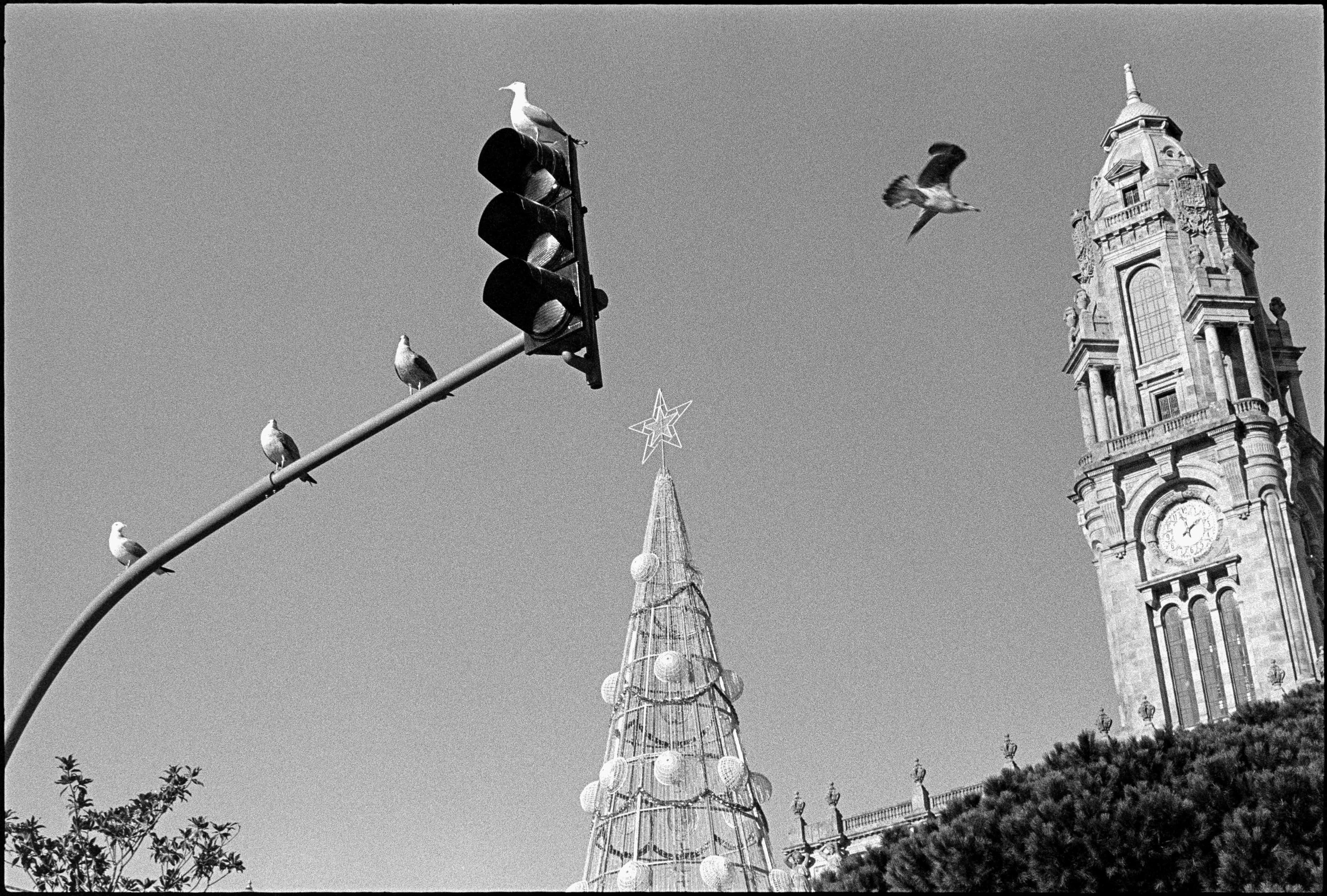 PT / nikon f / trix400 / 1.26