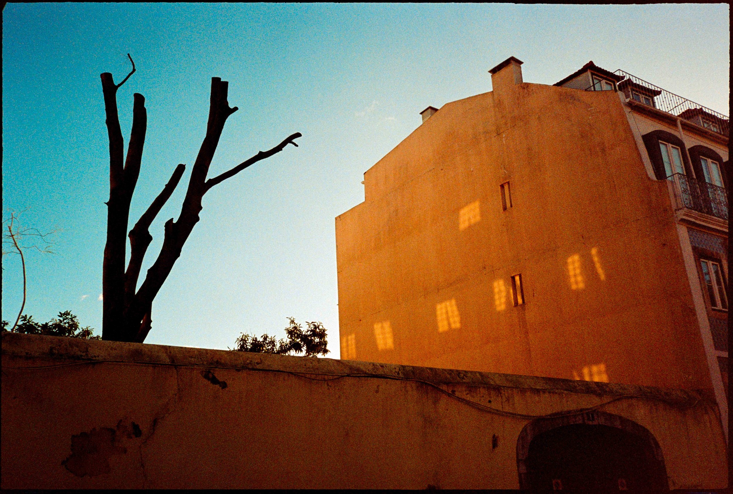 PT / mju2 / lomo800 / 1.26