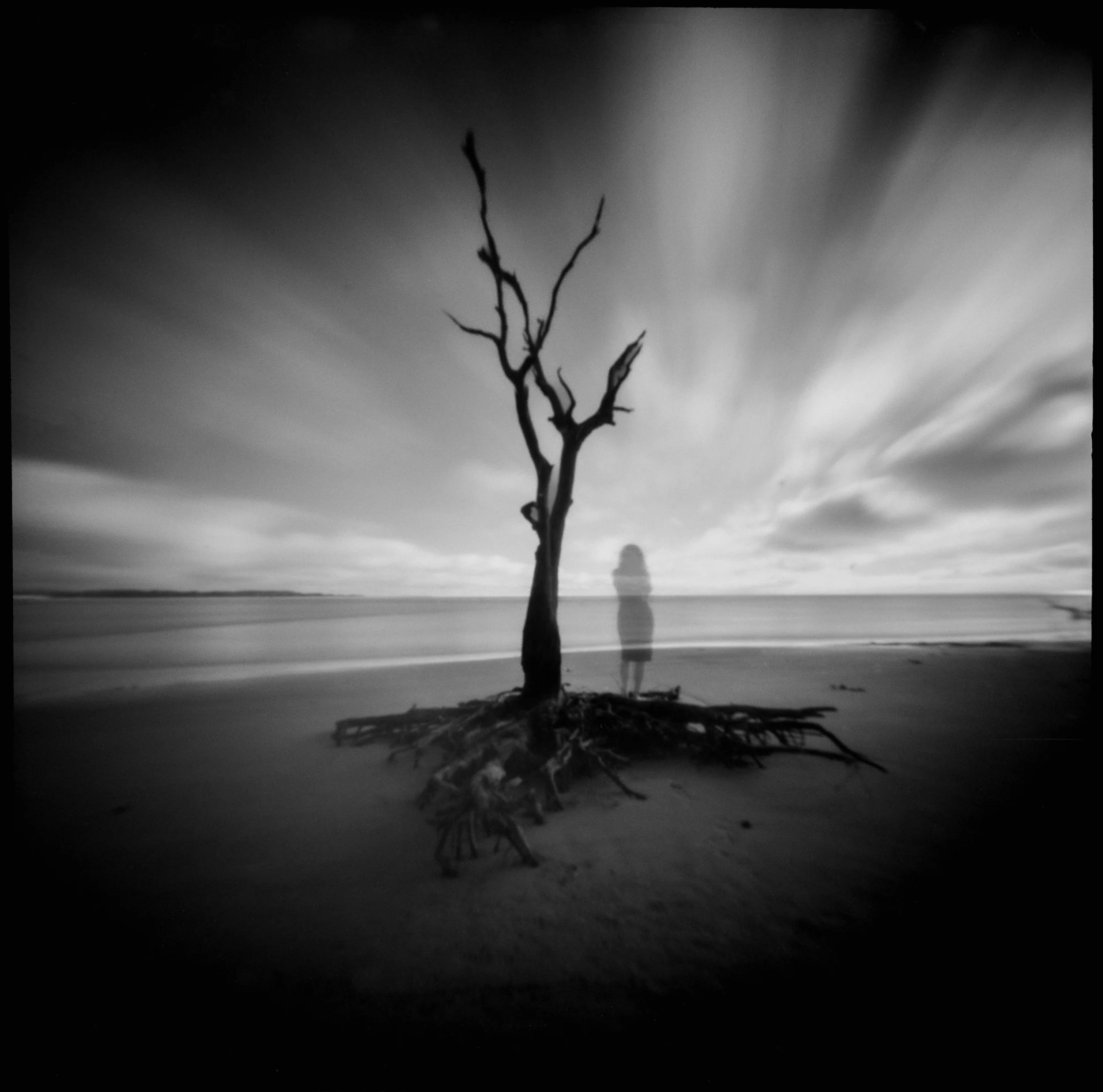 FL / Ondu Pocket 6x6 / tmax100 / 11.25