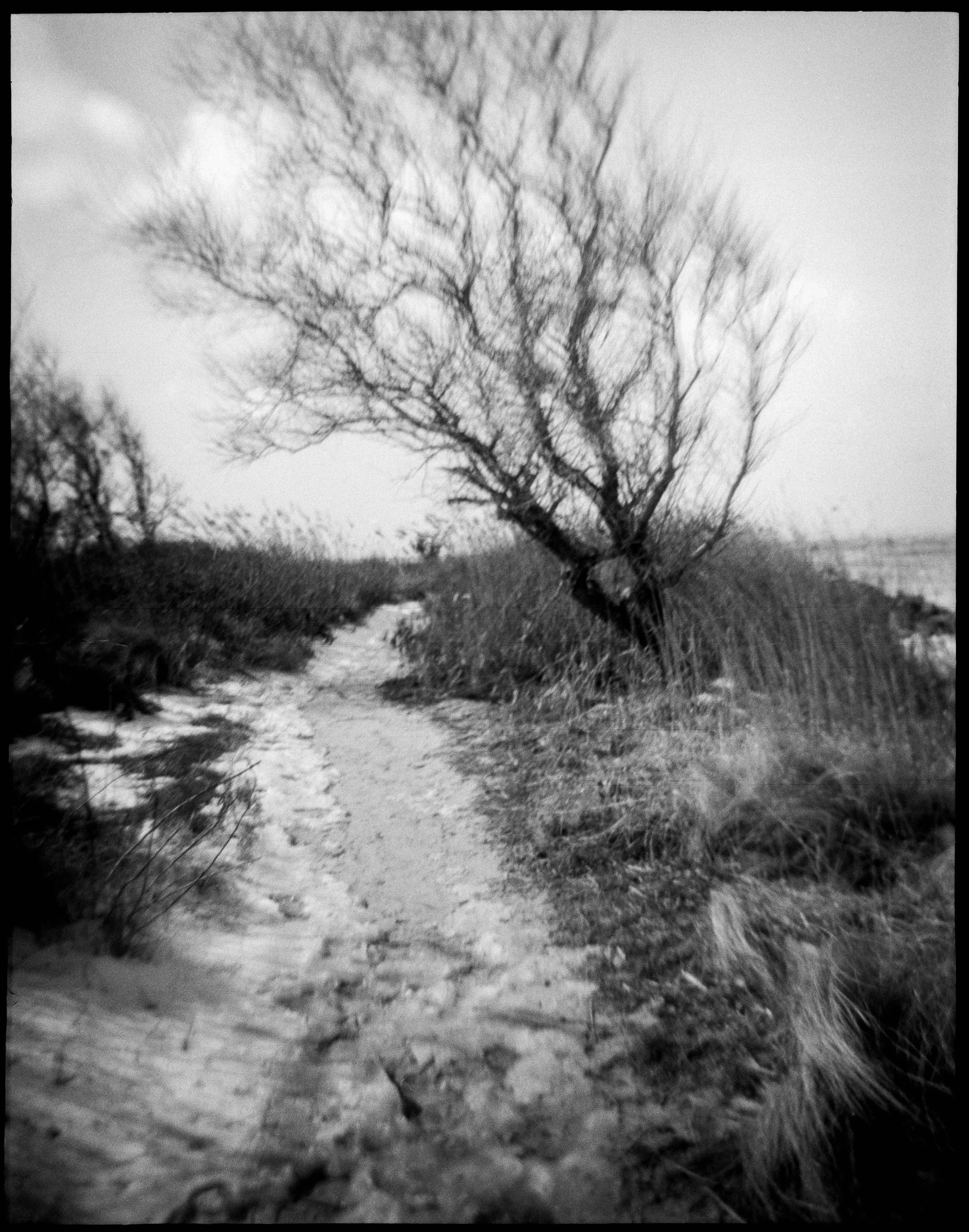 NJ / Debonaire / kentmere200 / 2.26