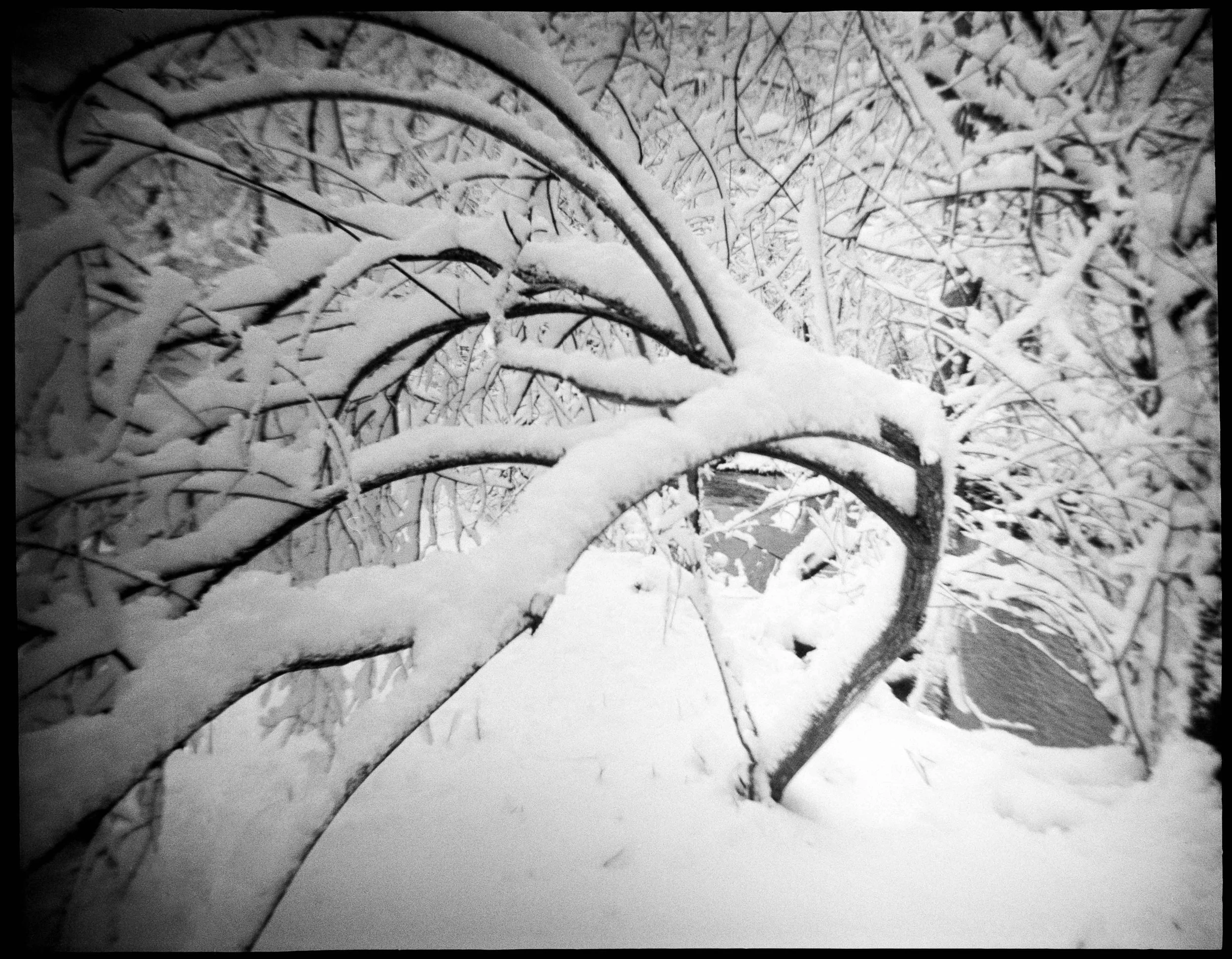 PA / Debonaire / trix400 / 2.26