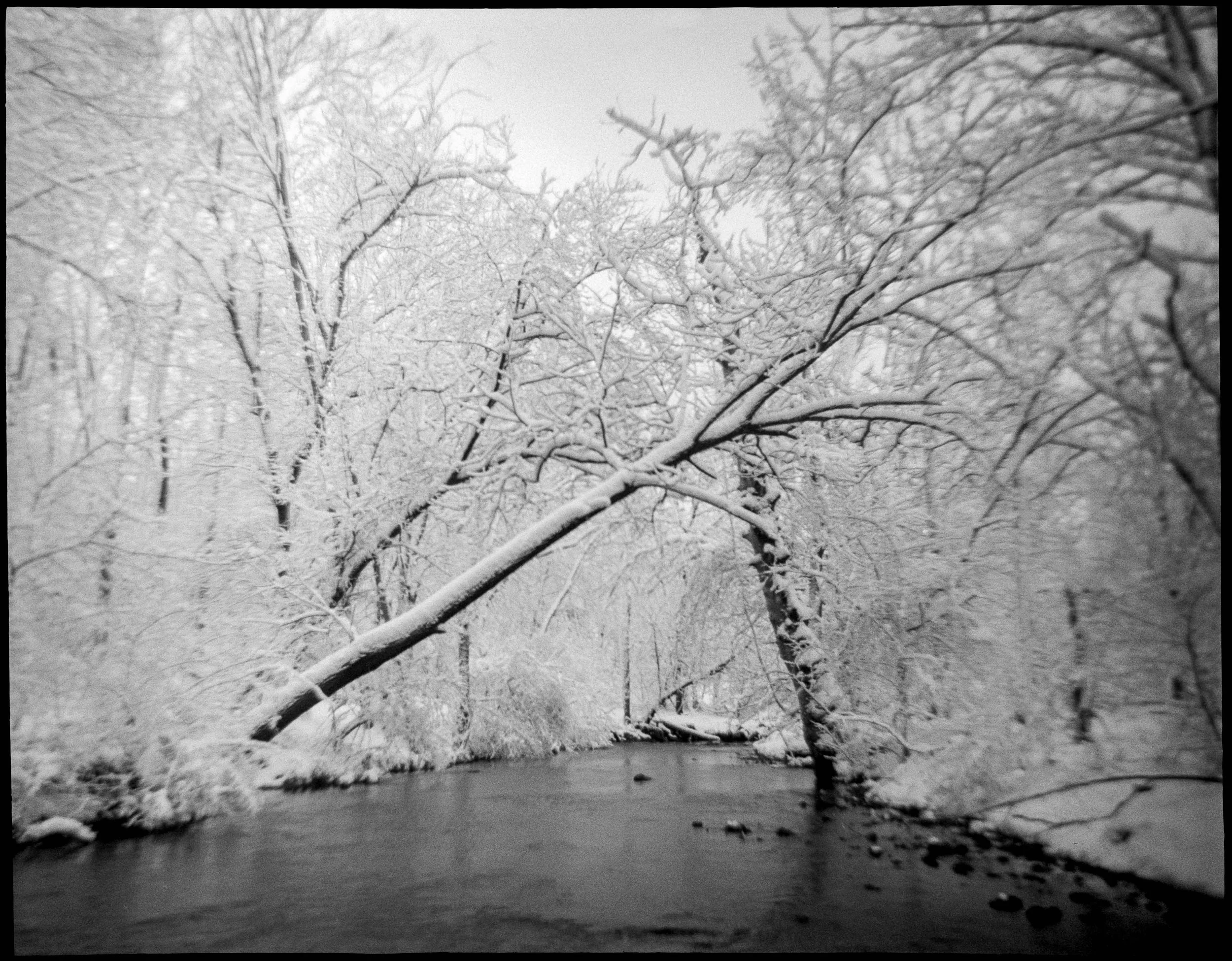 PA / Debonaire / trix400 / 2.26
