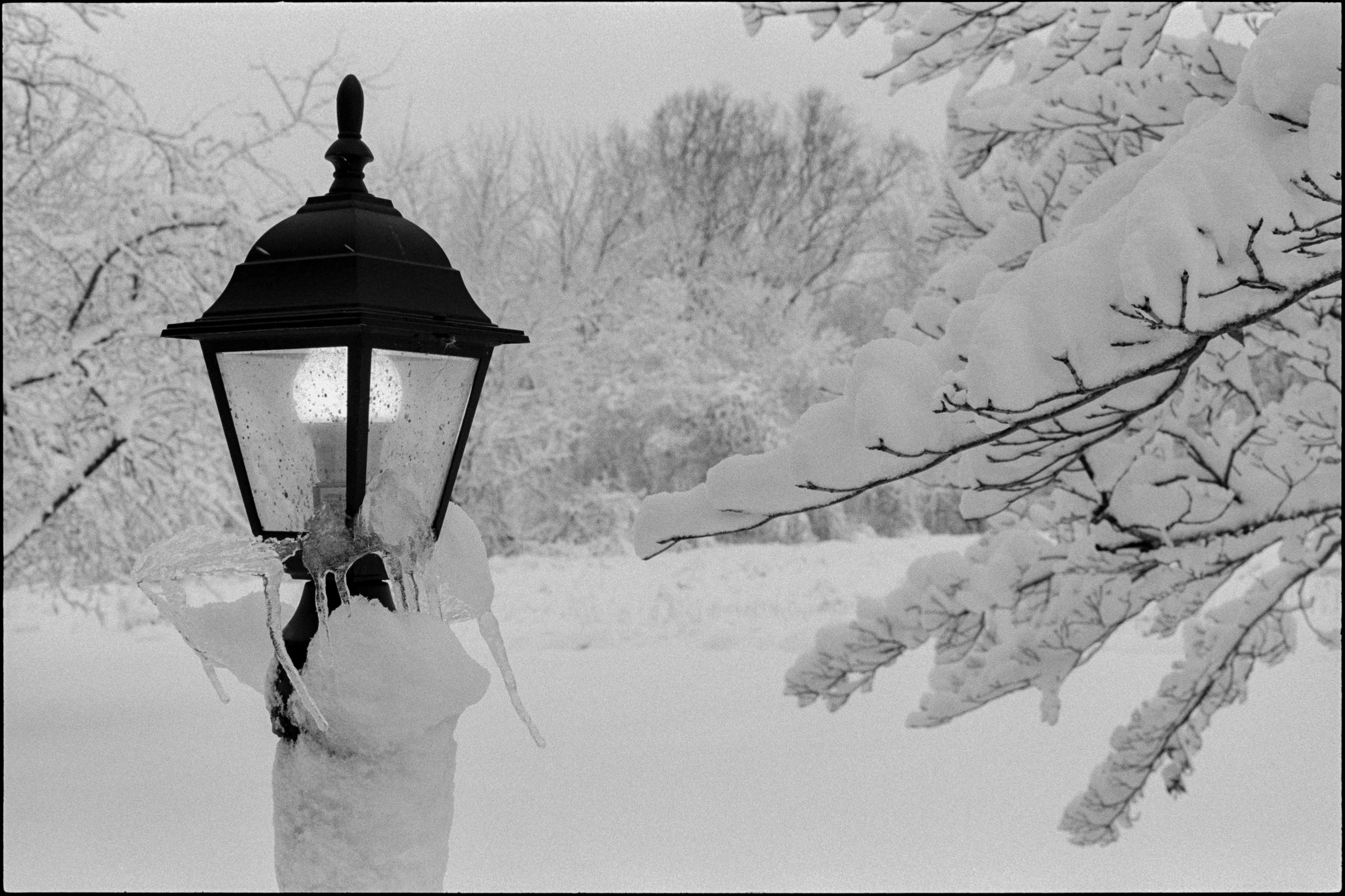 PA / contax g1 / trix400 / 2.26