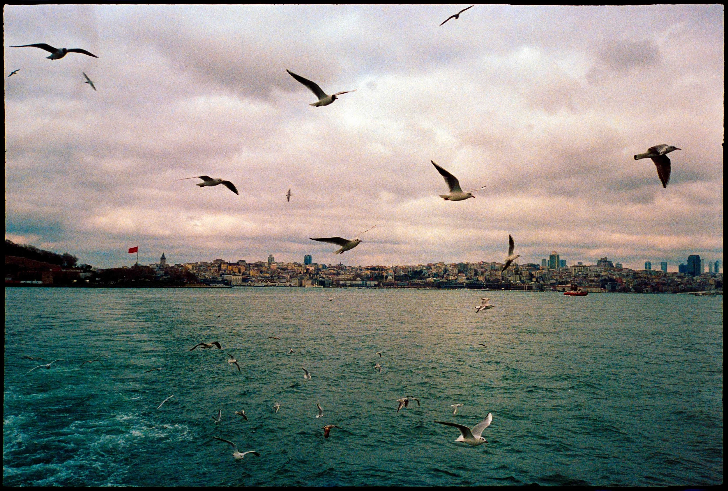 TR / Mju2 / lomo800 / 3.26