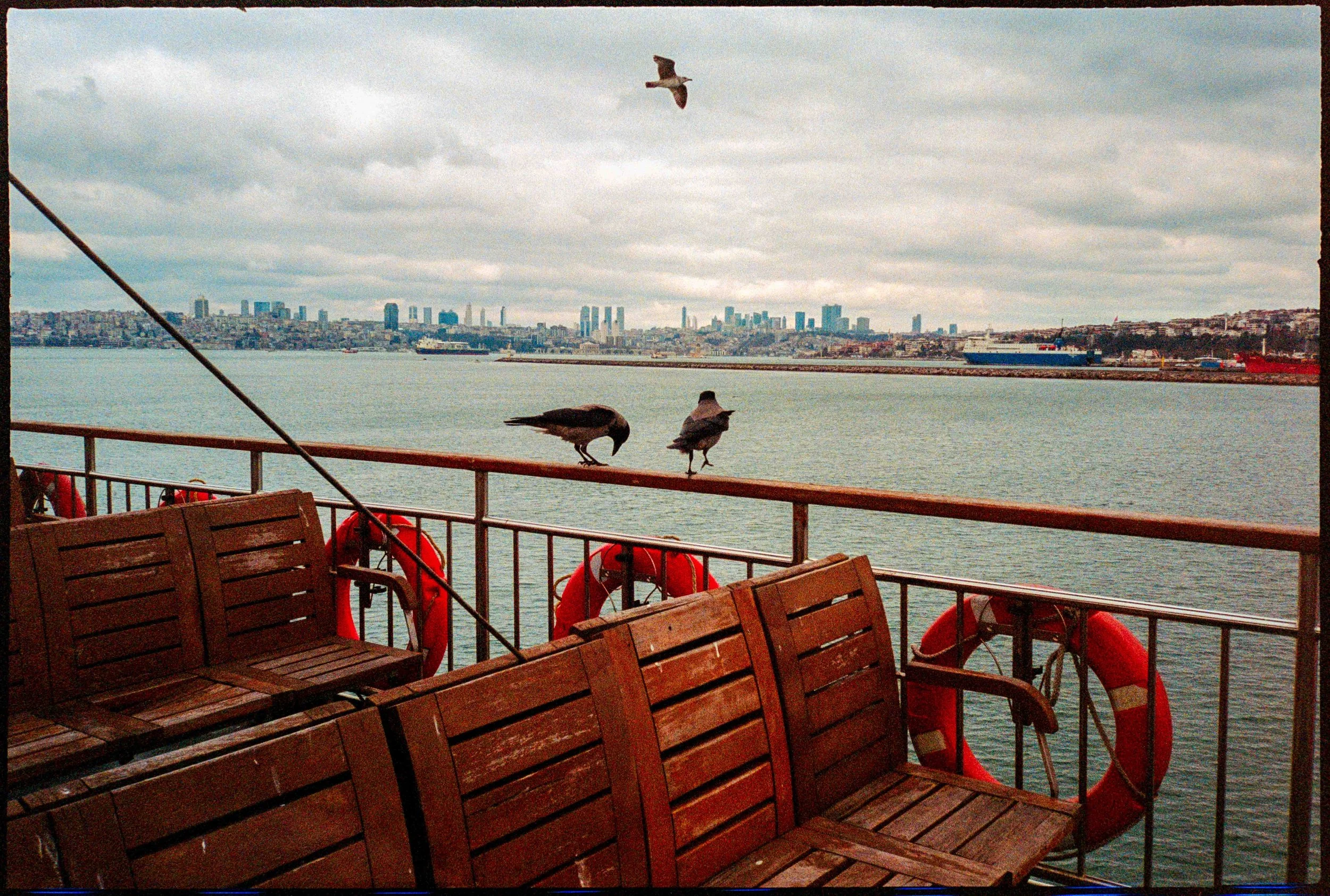 TR / Mju2 / lomo800 / 3.26