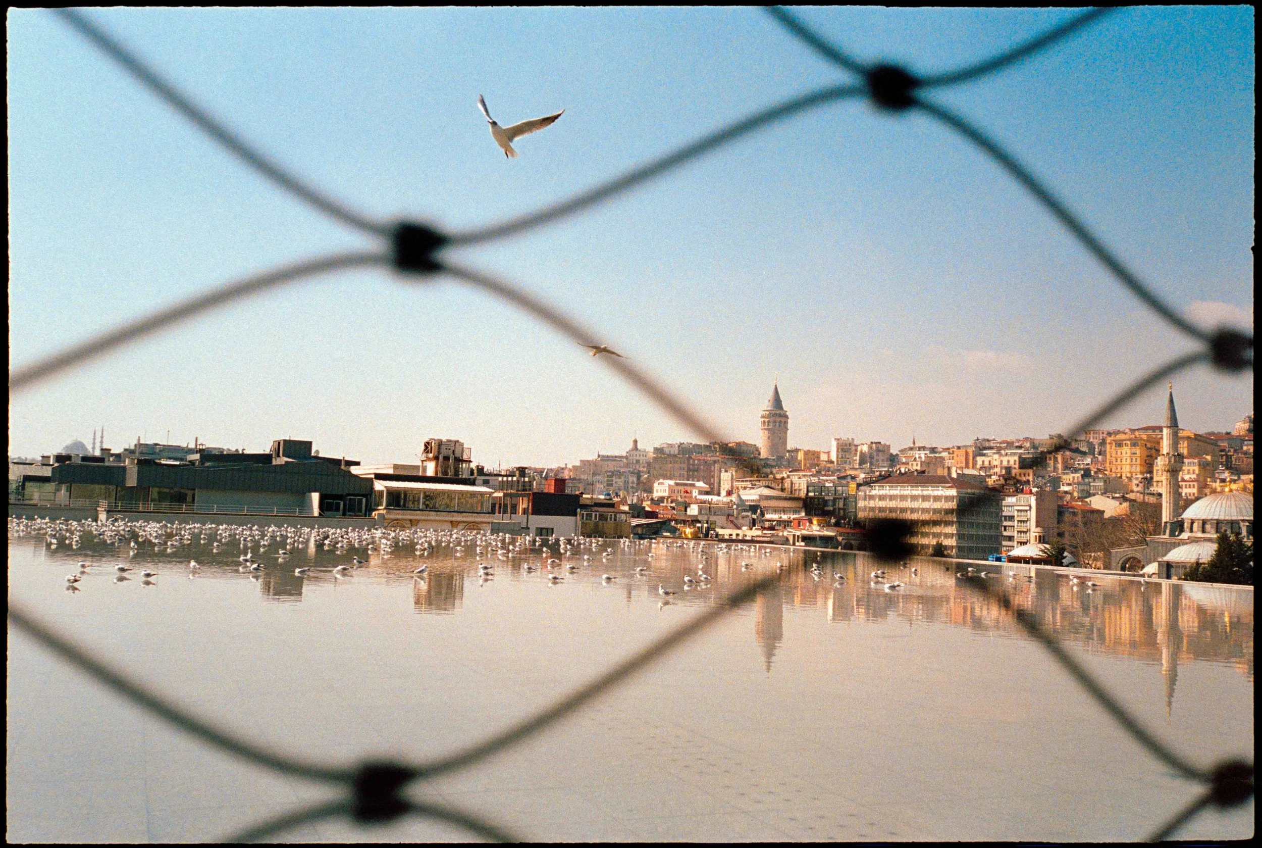 TR / Mju2 / lomo800 / 3.26