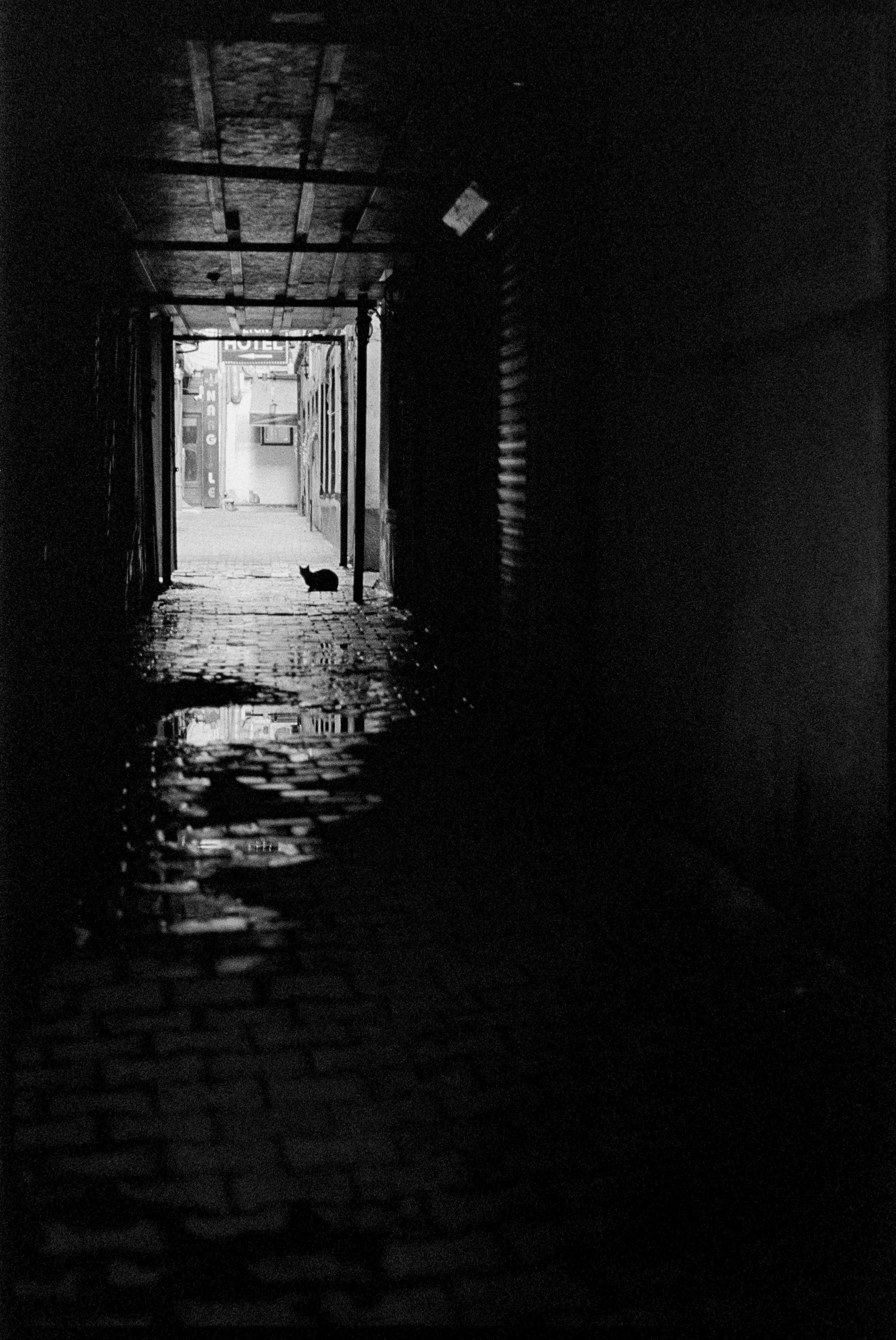 TR / contax g1 / trix400 / 3.26