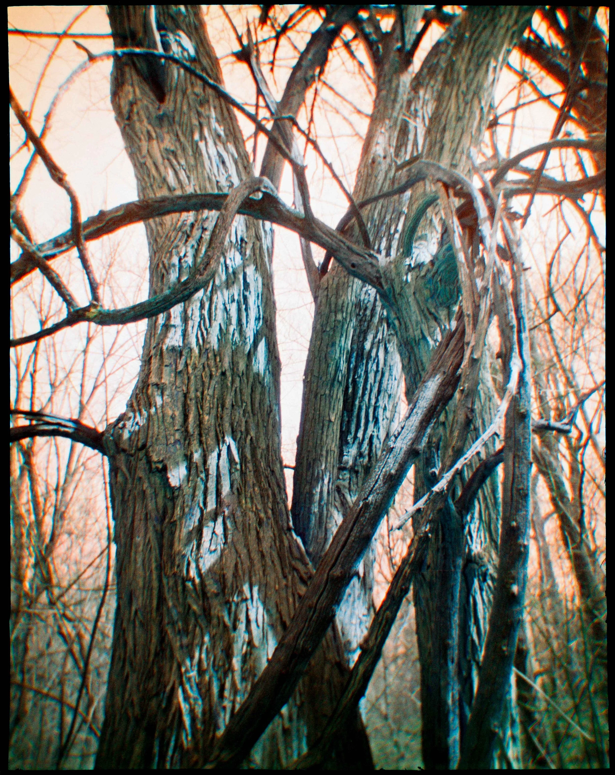 PA / debonair / switch azure / 3.26