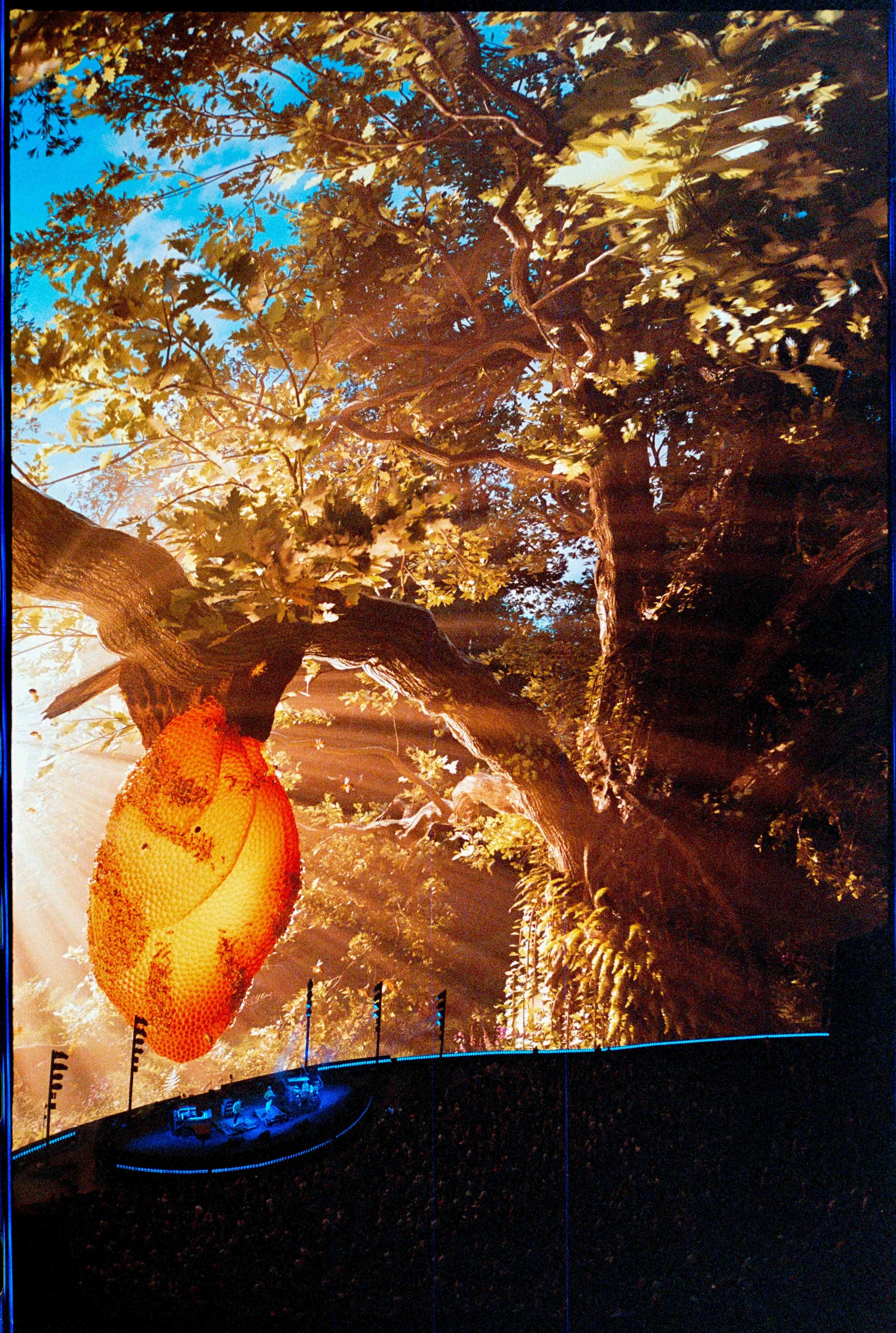 NV / mju2 / lomo800 / 4.26