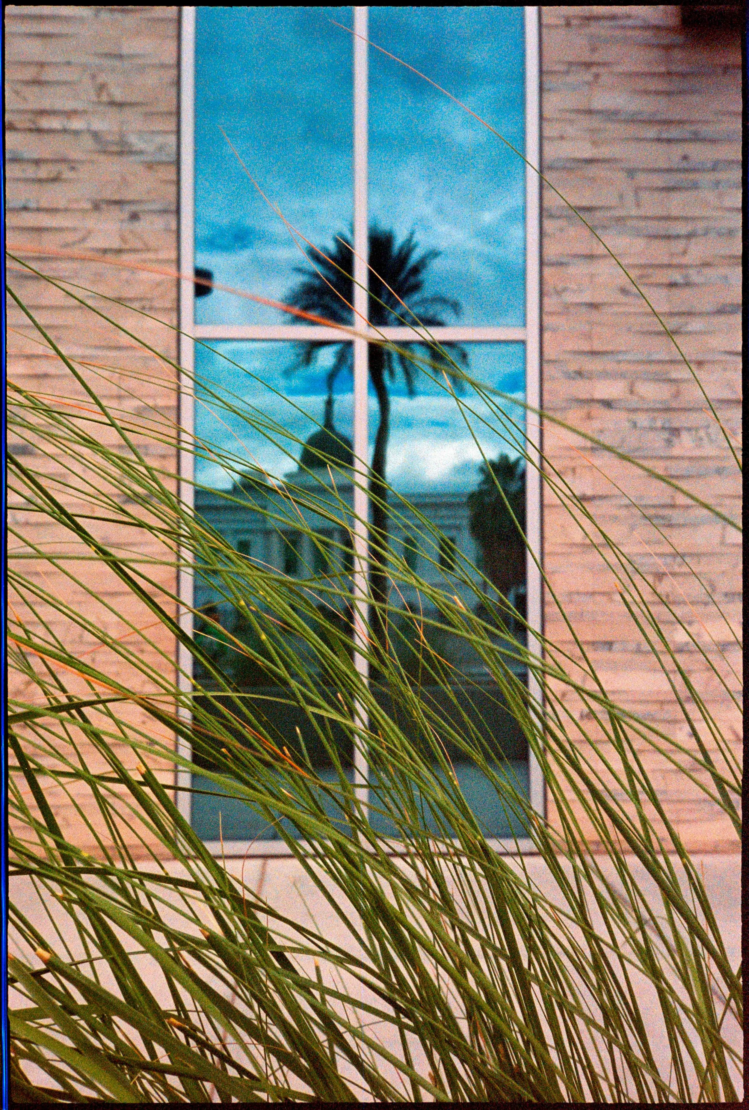NV / mju2 / lomo800 / 4.26