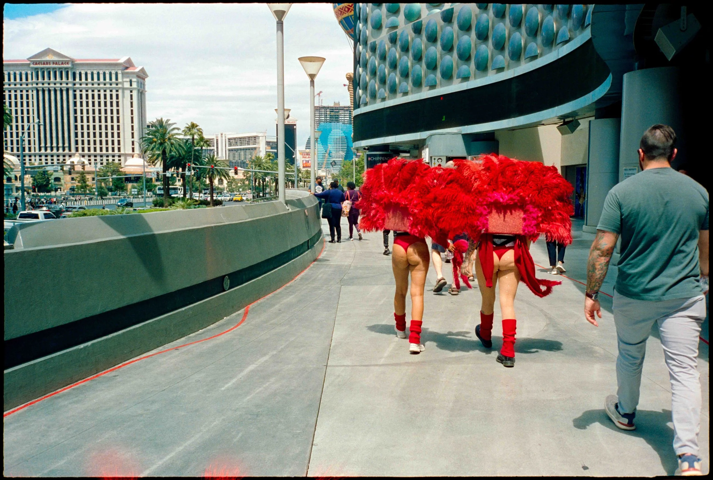 NV / mju2 / cinestill400d / 4.26