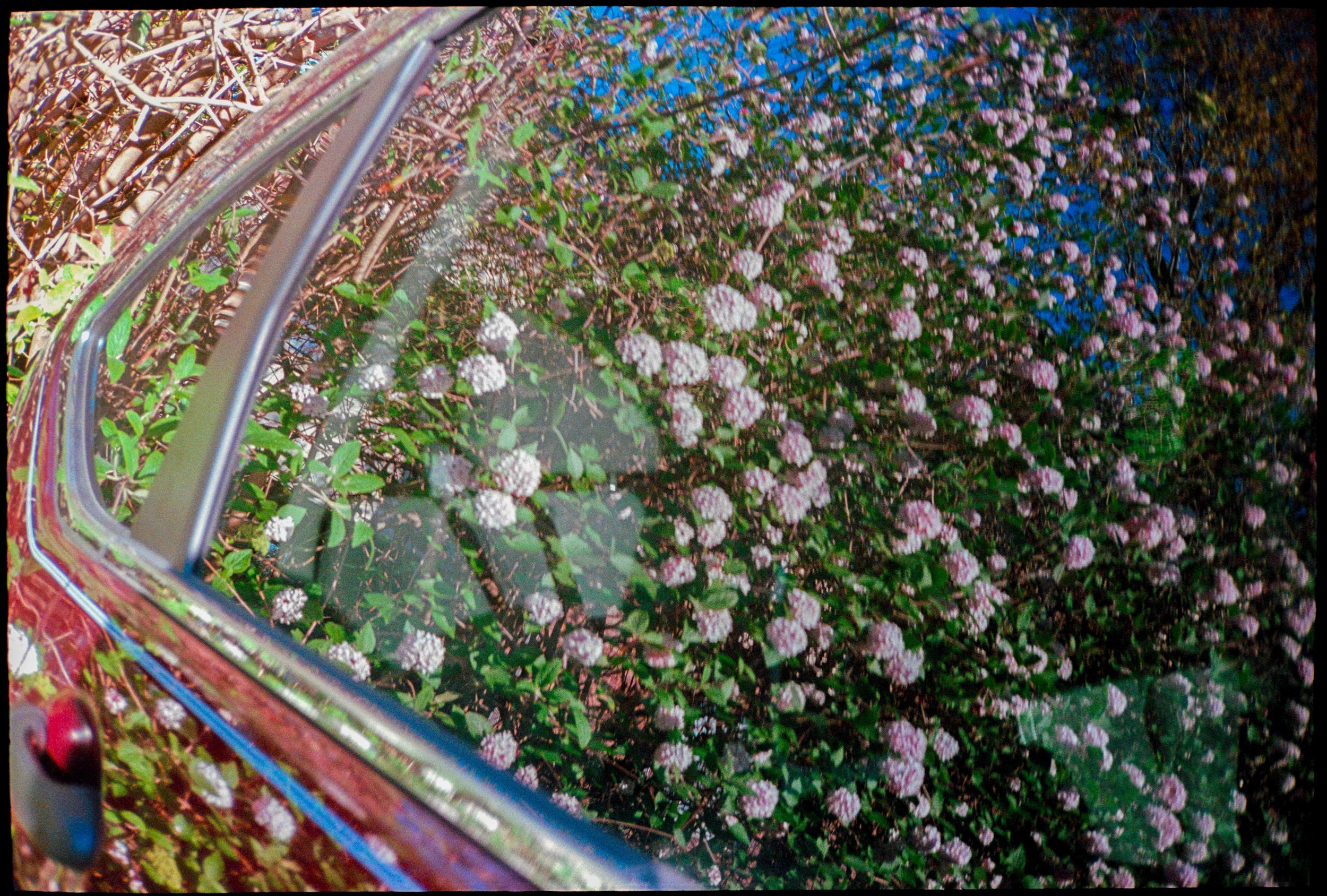 PA / nikon L35af / kg400 / 4.26