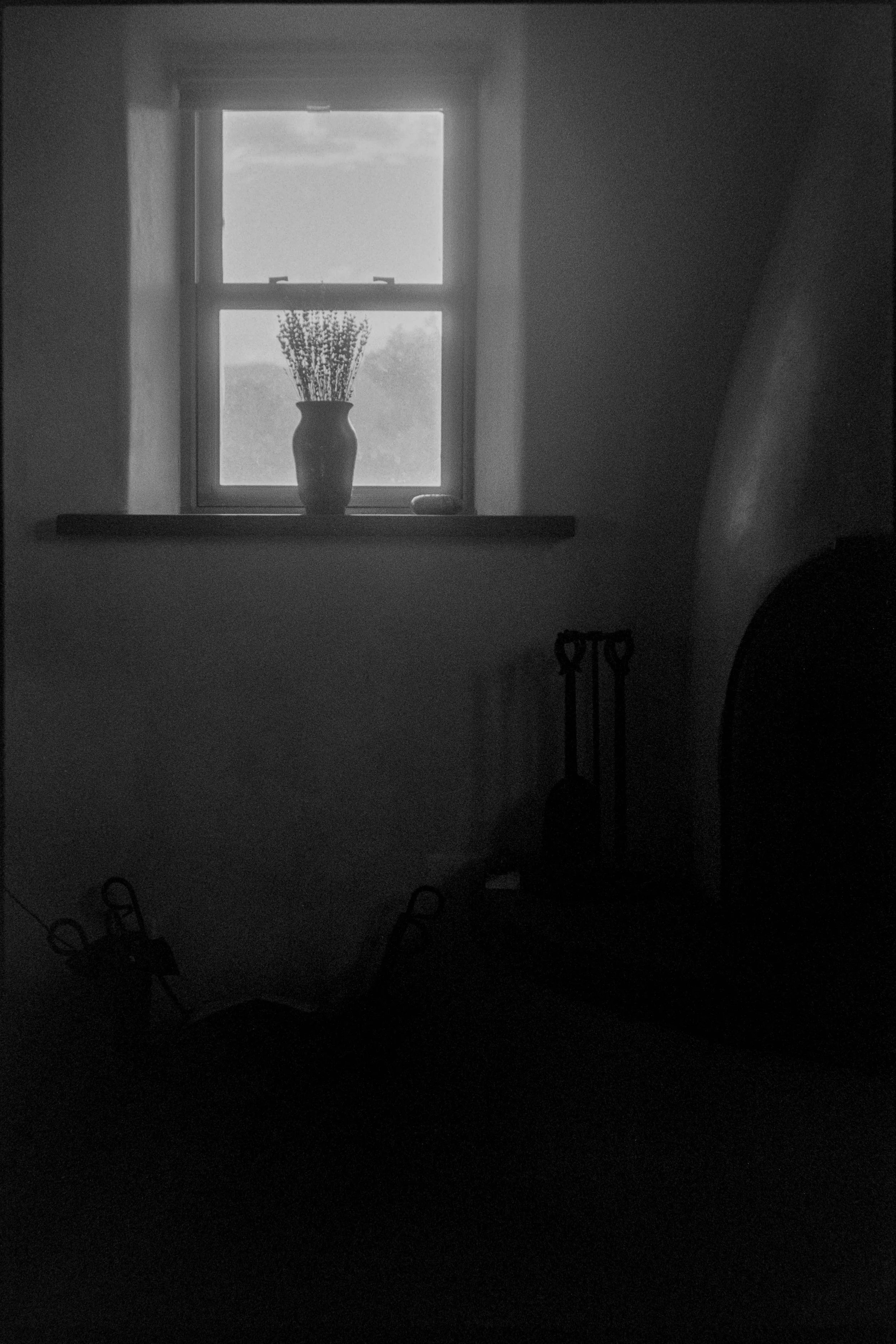 NM / nikon f / fp4 / 5.26