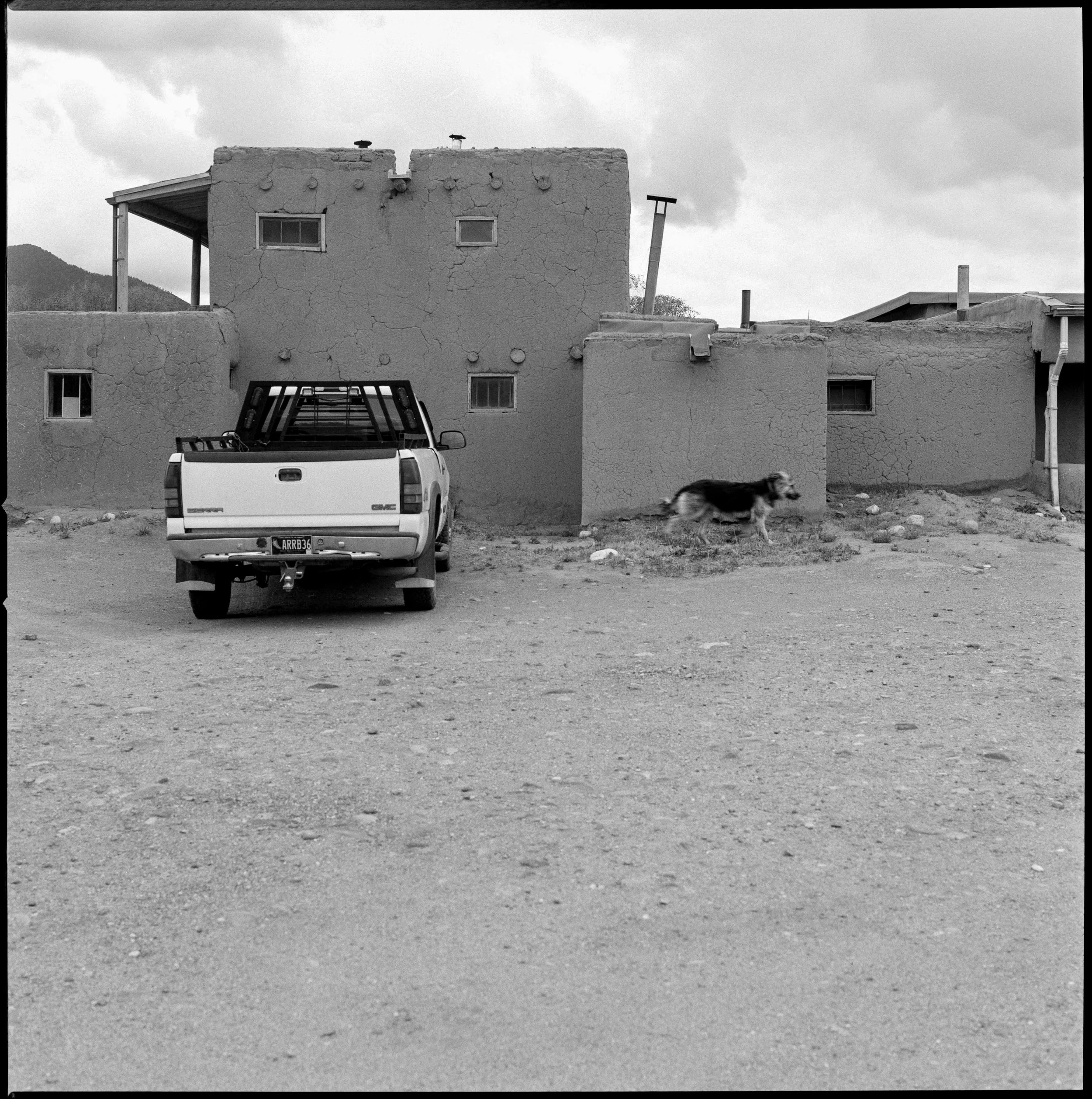 NM / hasselblad 500cm / fp4+ / 5.26