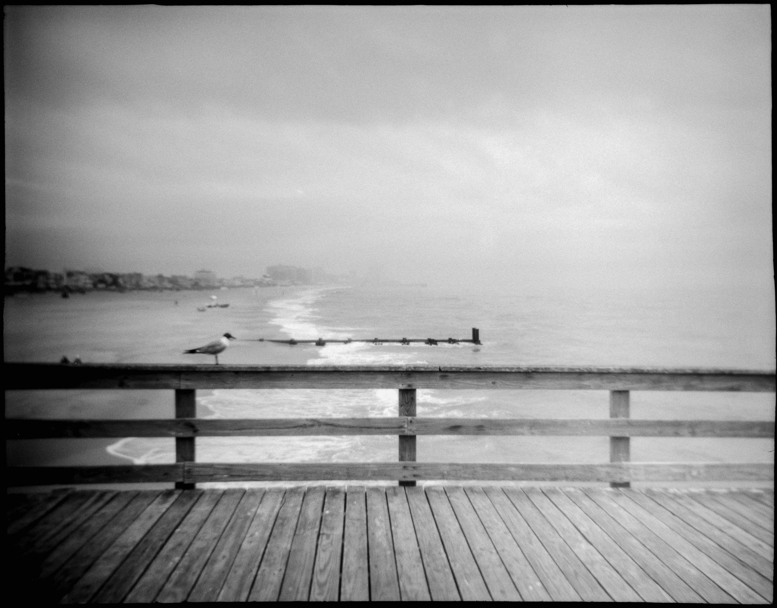 NJ / debonair / kentmere100 / 7.26