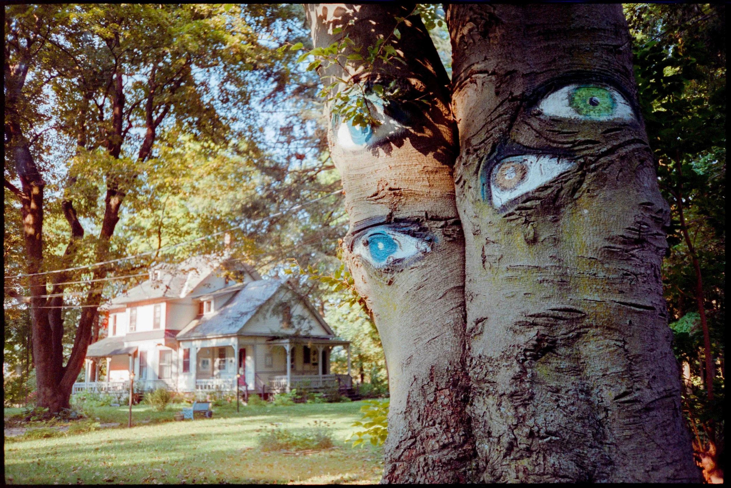 MA / lt-1 / cinestill400d / 8.26