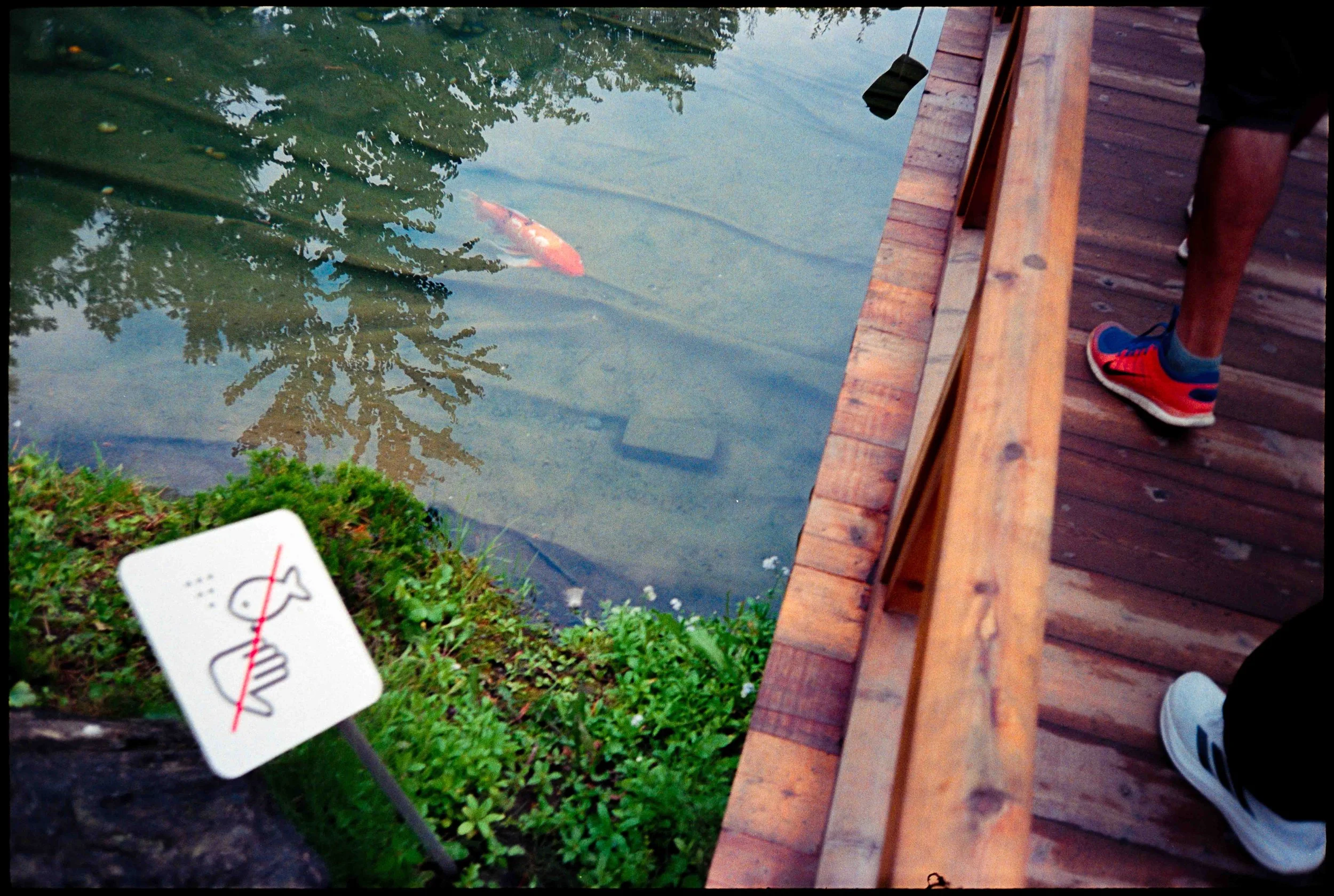 qc / lt-1 / lomo400 / 8.26
