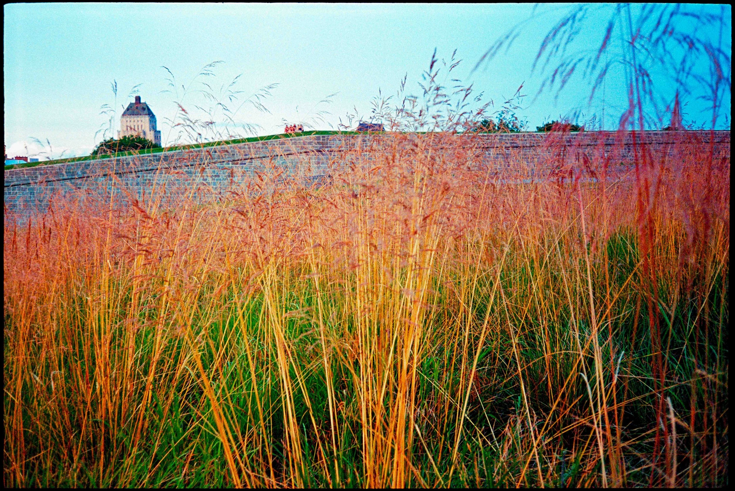 qc / lt-1 / lomo400 / 8.26