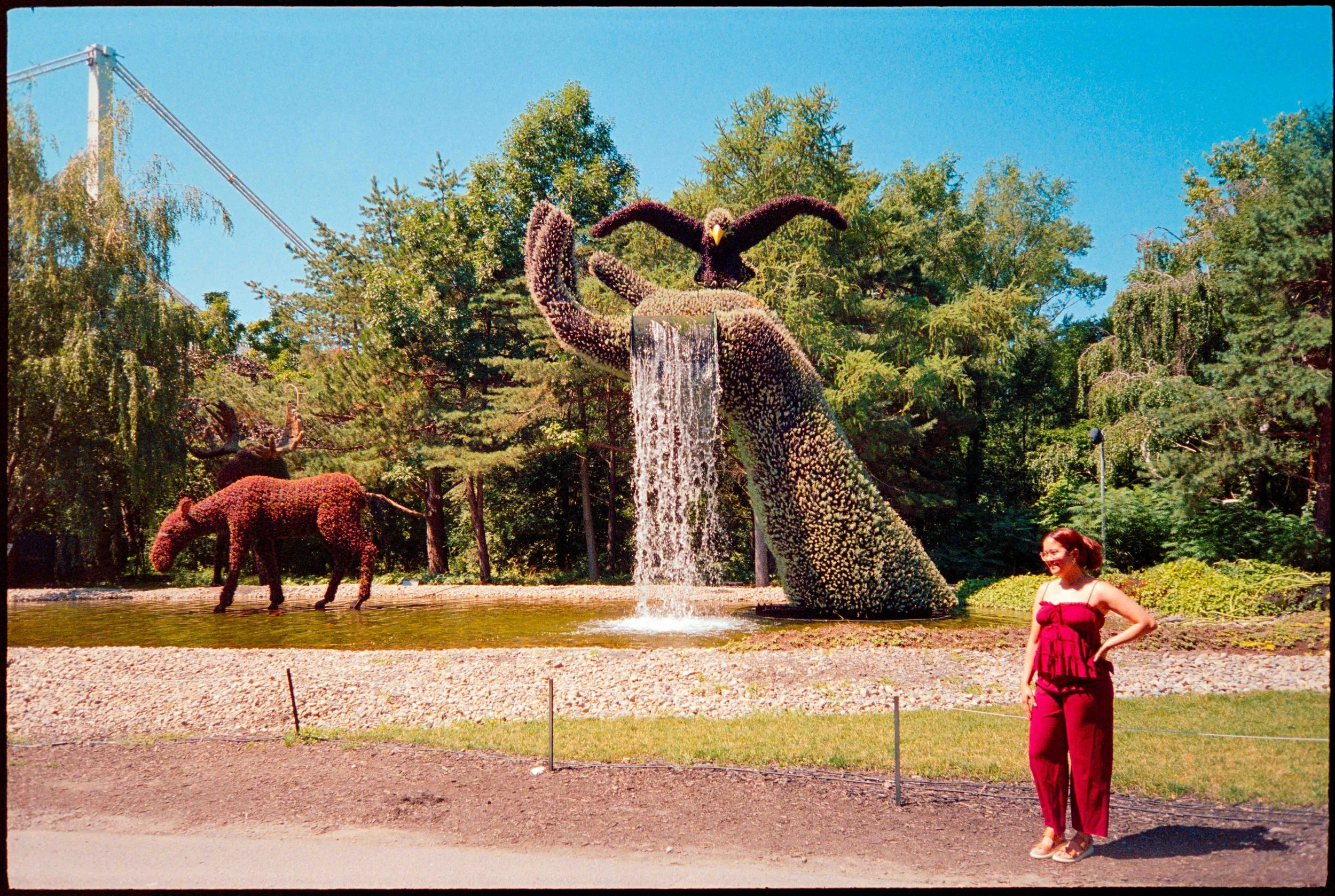 qc / lt-1 / lomo800 / 8.26