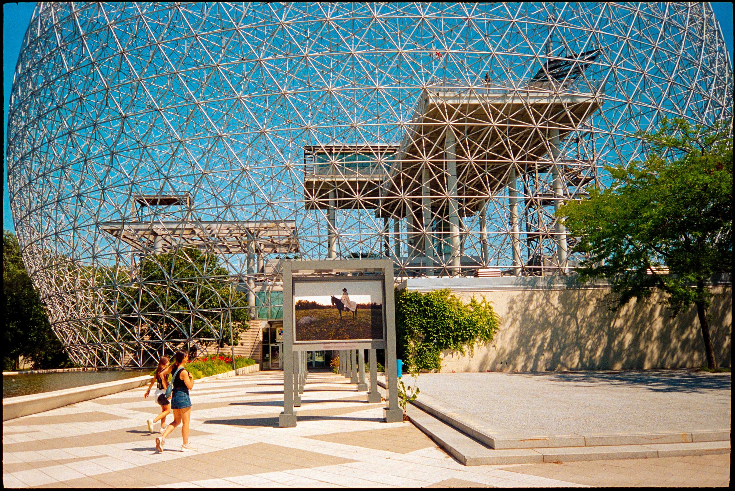 qc / lt-1 / lomo800 / 8.26