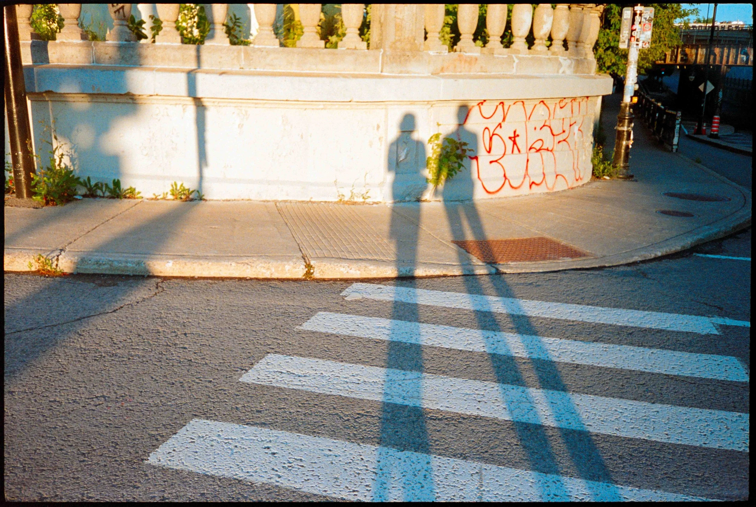 qc / lt-1 / lomo800 / 8.26