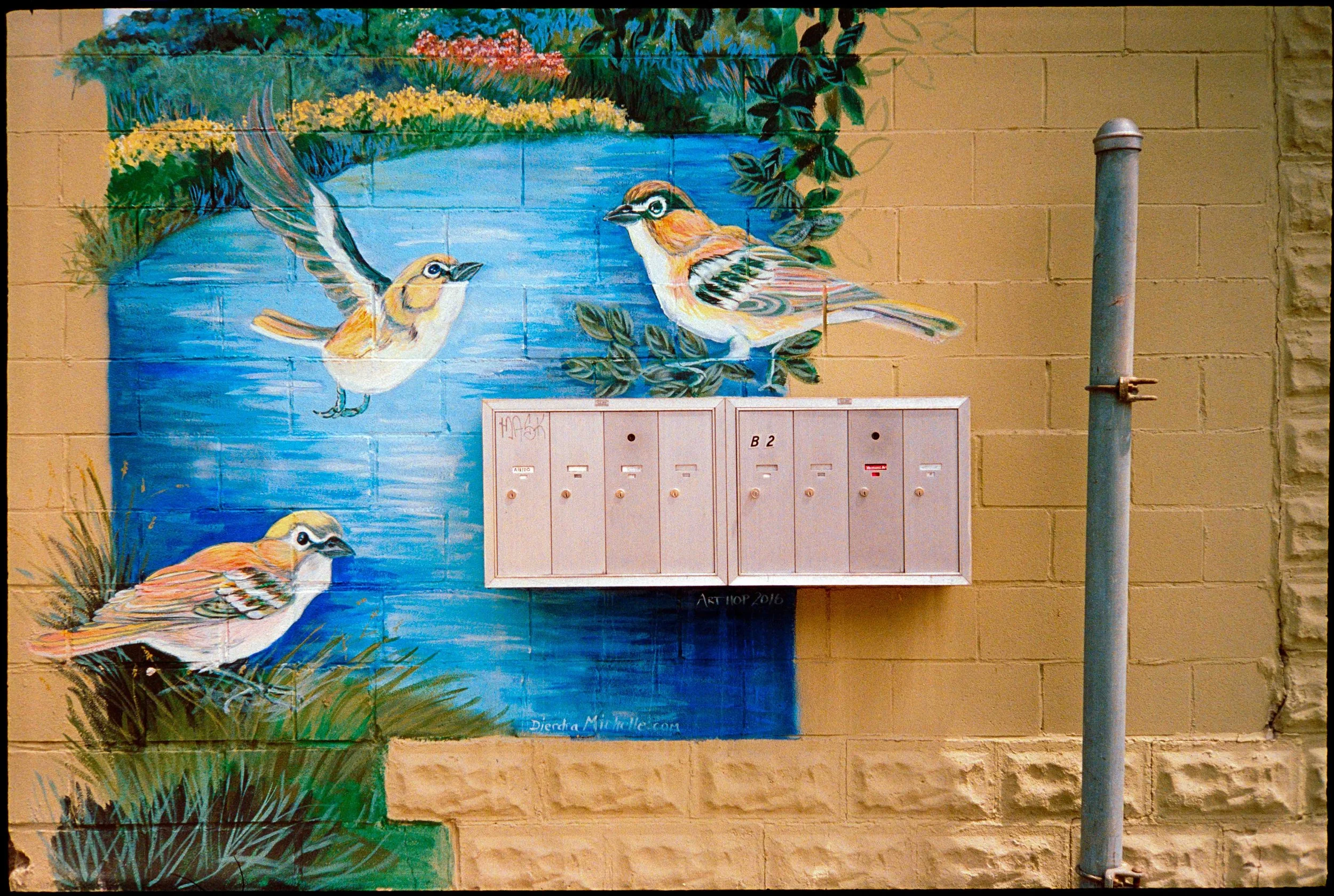 vt / lt-1 / lomo800 / 8.26