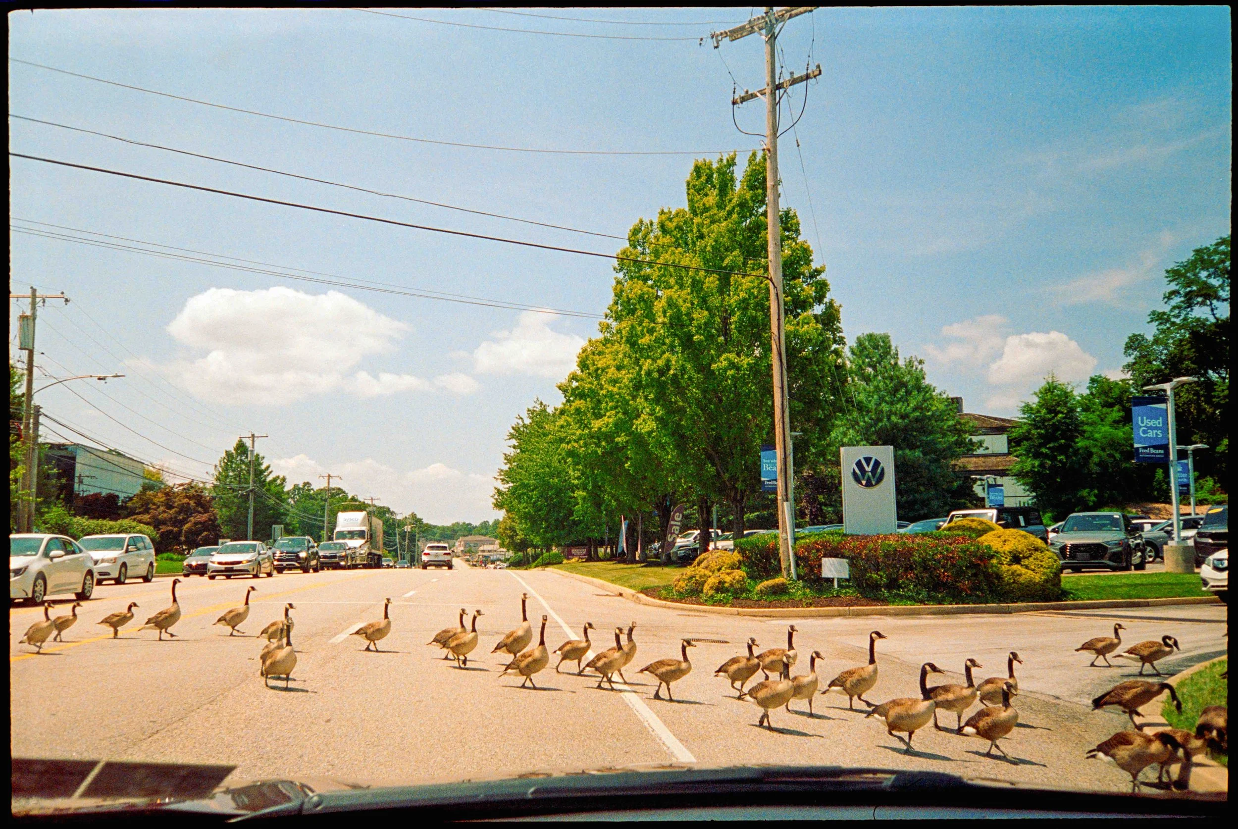 PA / lt-1 / lomo800 / 8.26