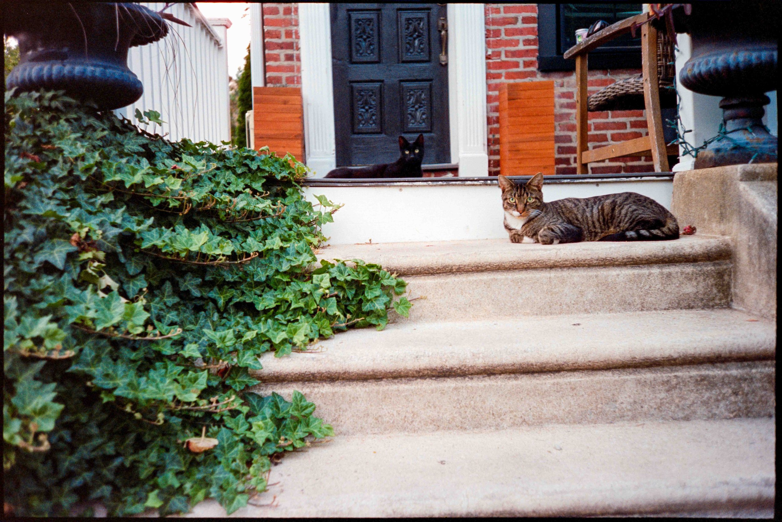 PA / lt-1 / cinestill400d / 9.26
