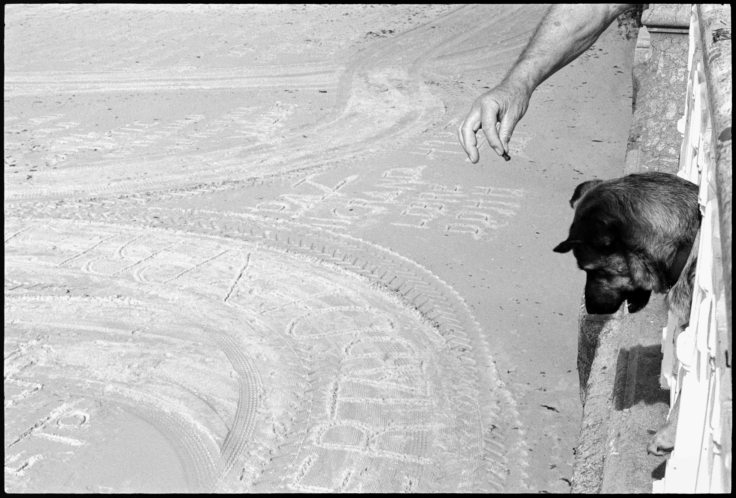 ES / Nikon F / fp4 / 10.26