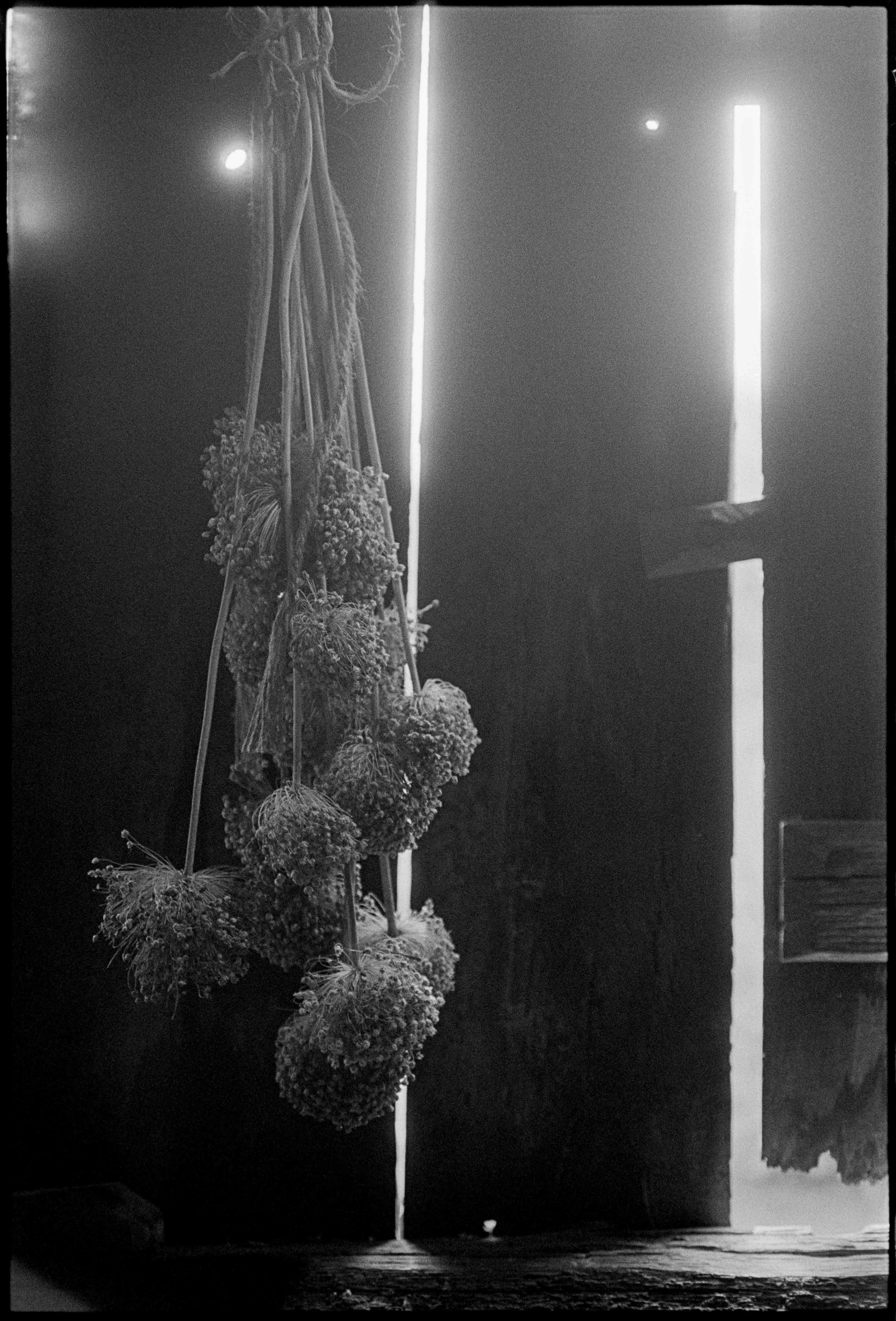 ES / Nikon F / trix400 / 10.26