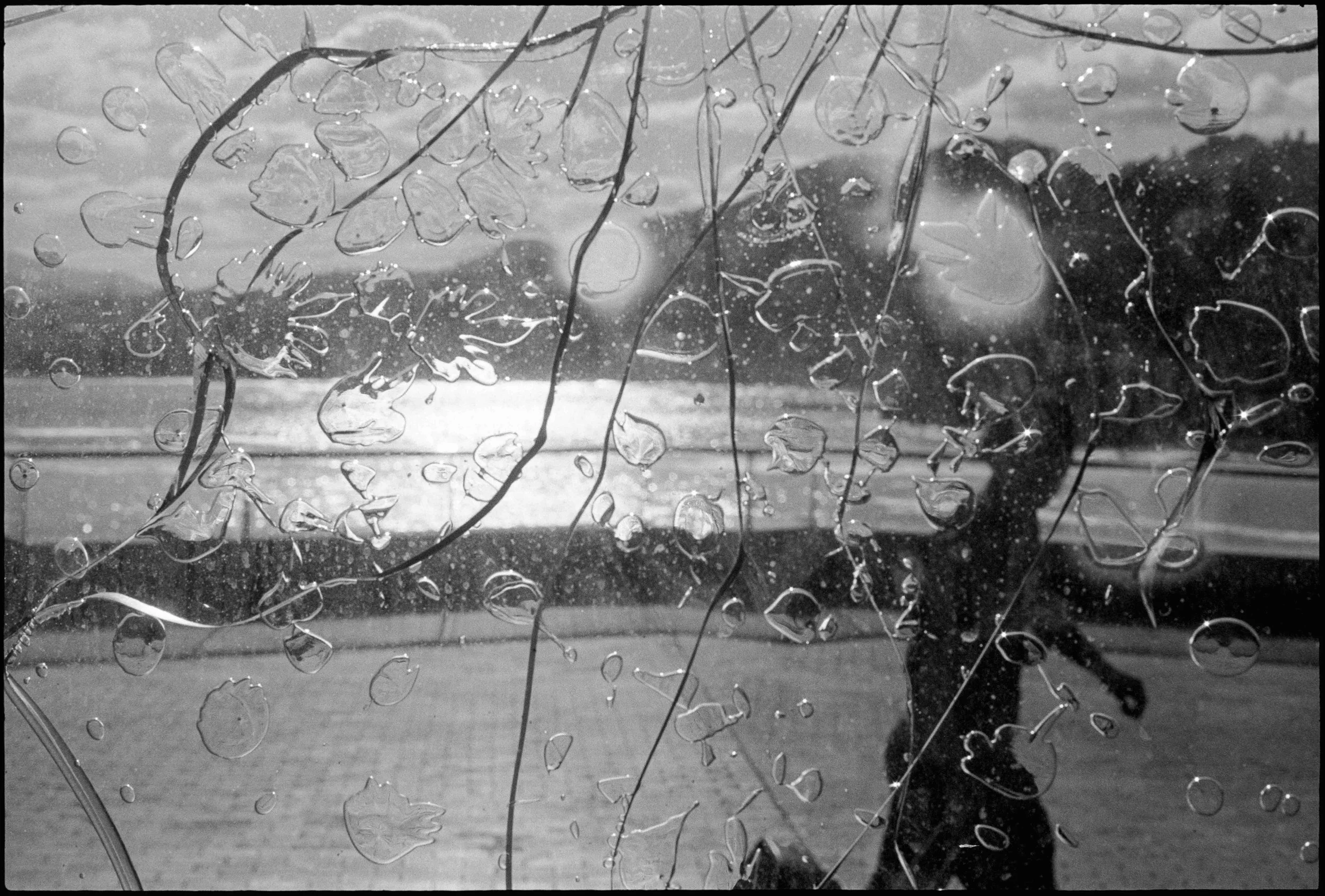 ES / Nikon F / fp4 / 10.26