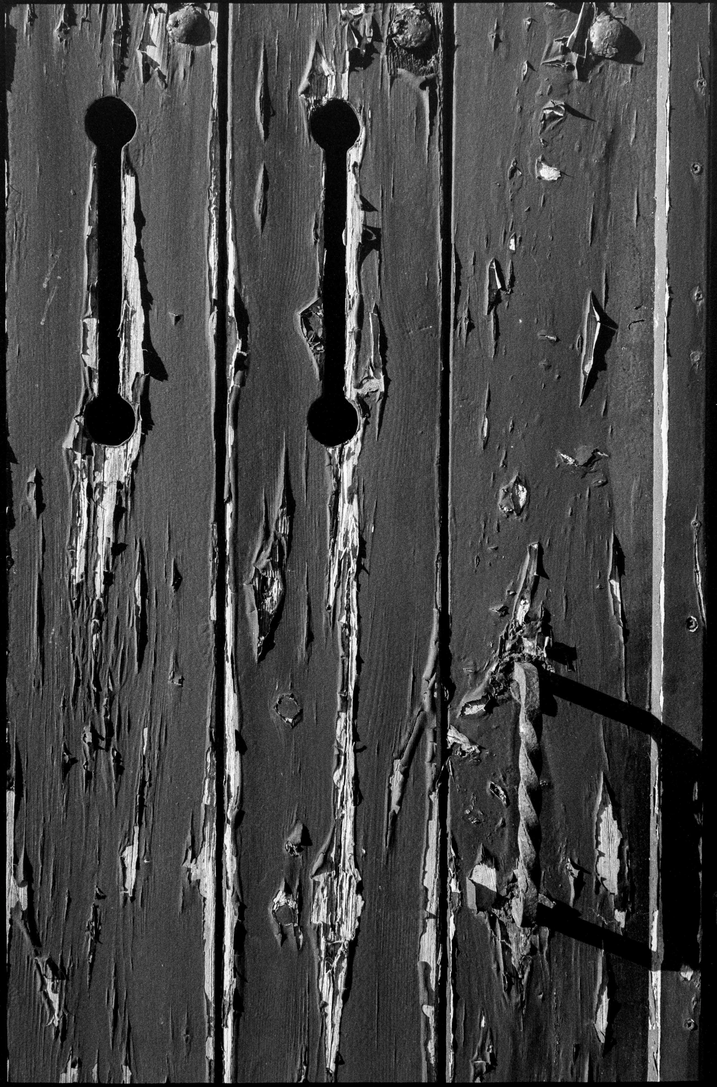 ES / Nikon F / fp4 / 10.26