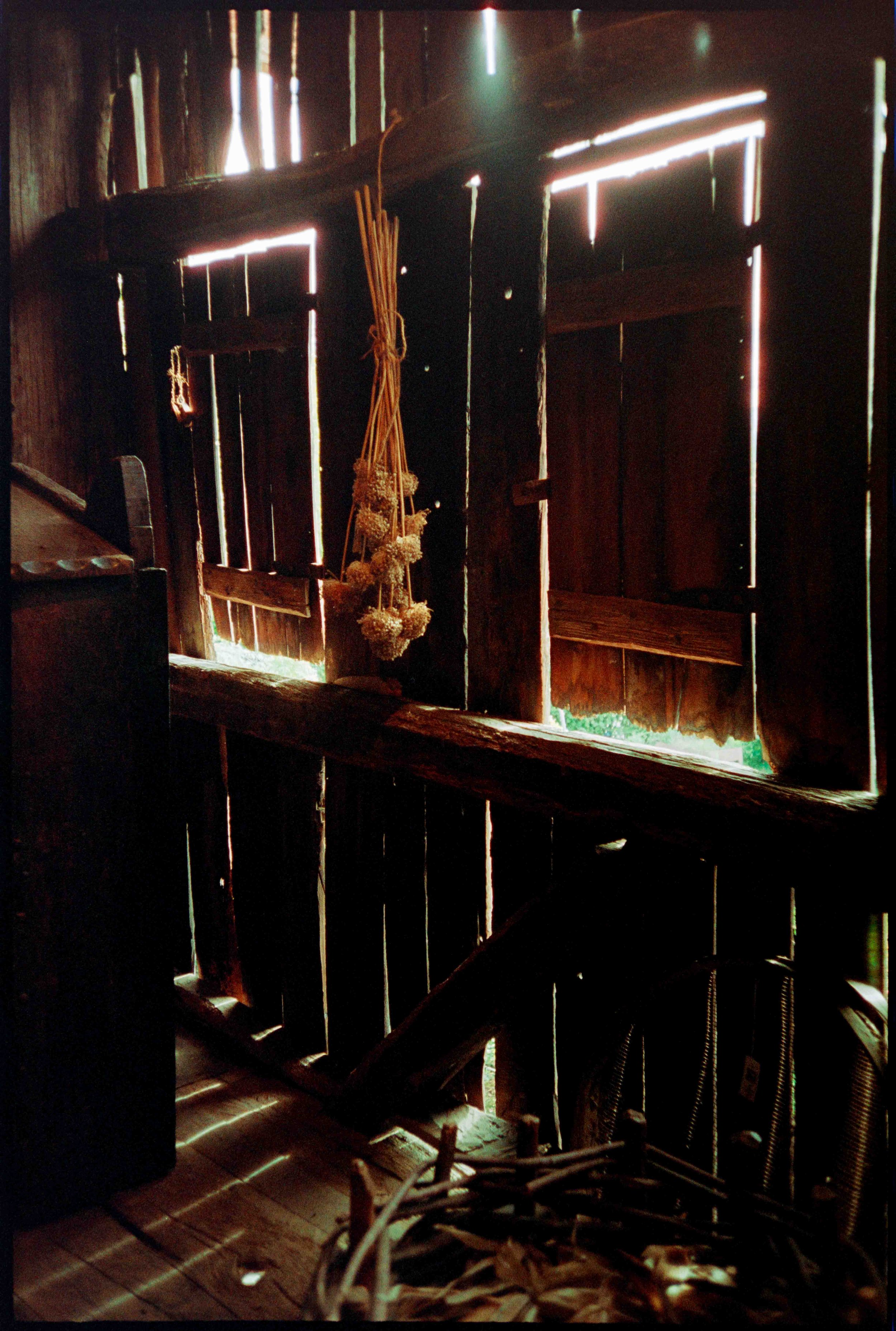 ES / lt-1 / lomo800 / 10.26