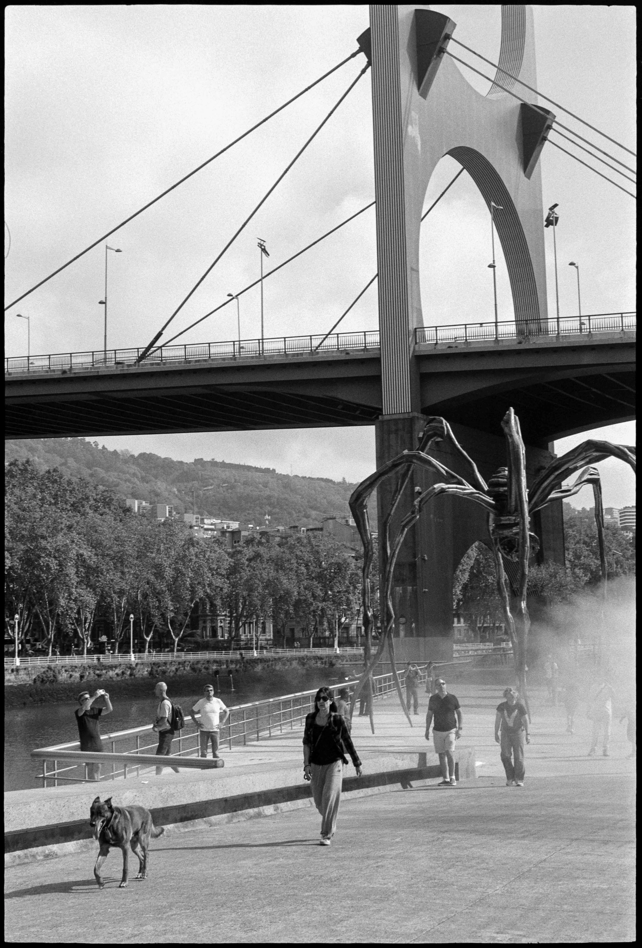 ES / Nikon F / fp4 / 10.26
