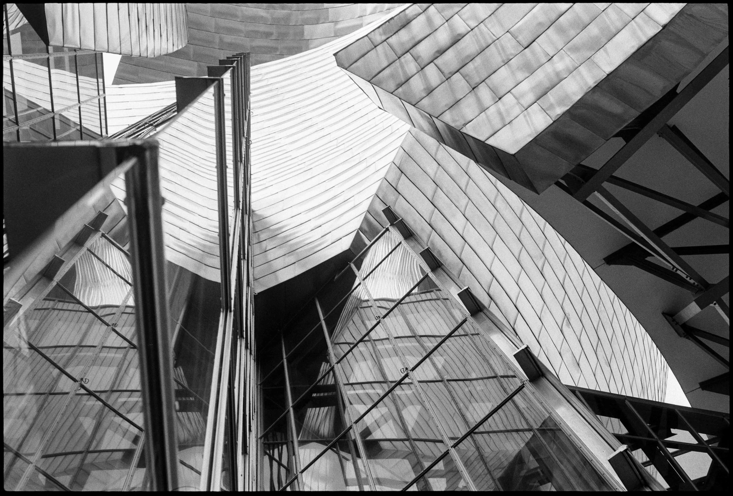 ES / Nikon F / fp4 / 10.26